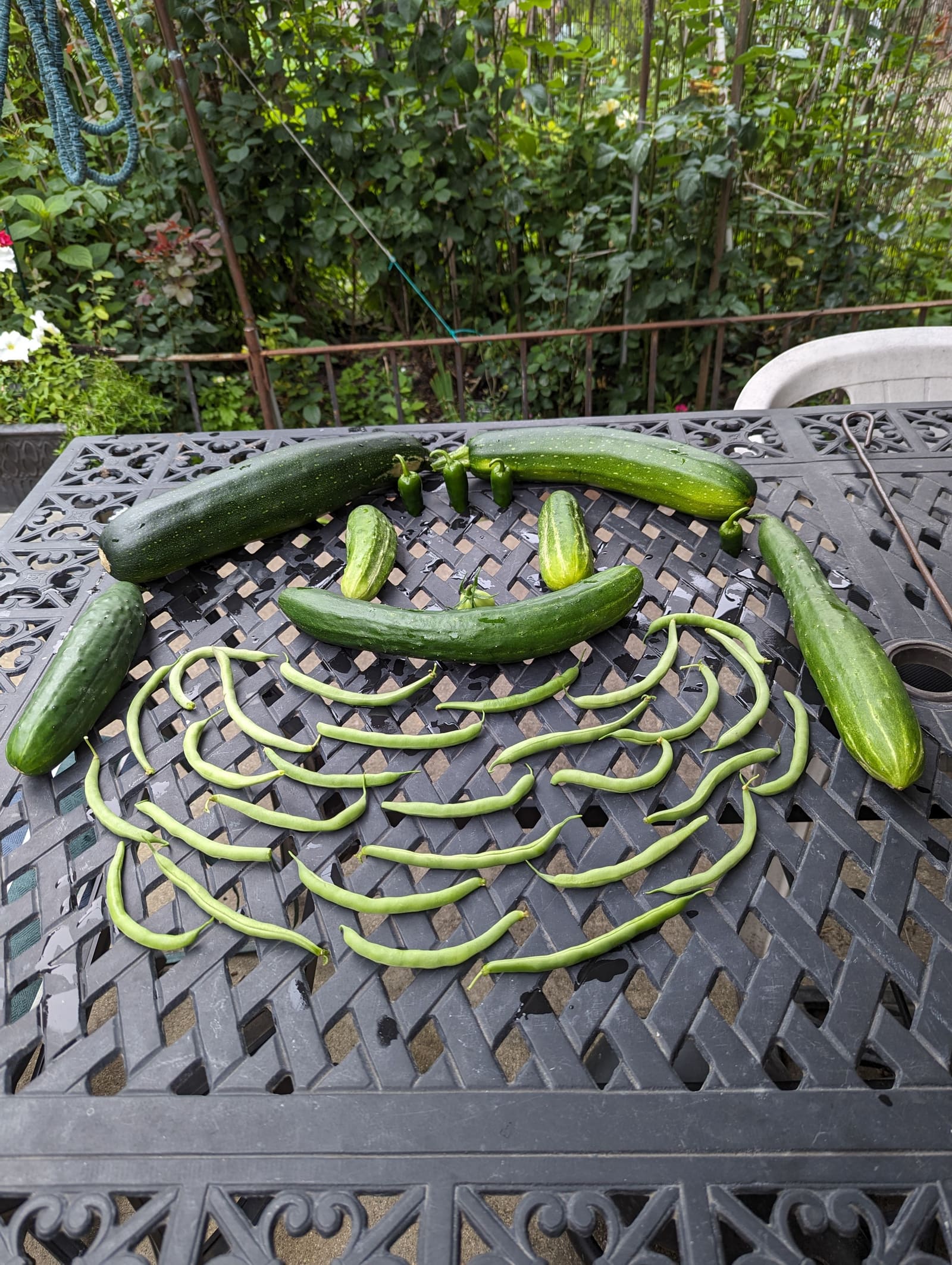 The week's harvest arranged on the table. July 2023.