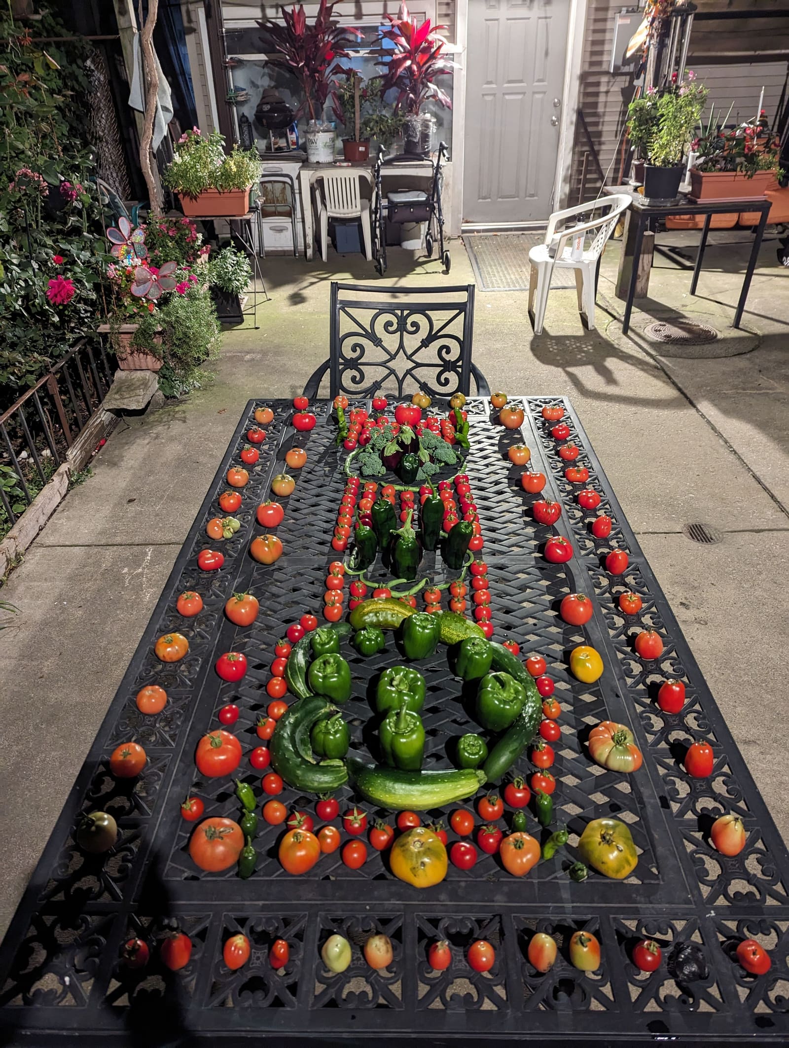 The week's harvest arranged on the table. October 2023.