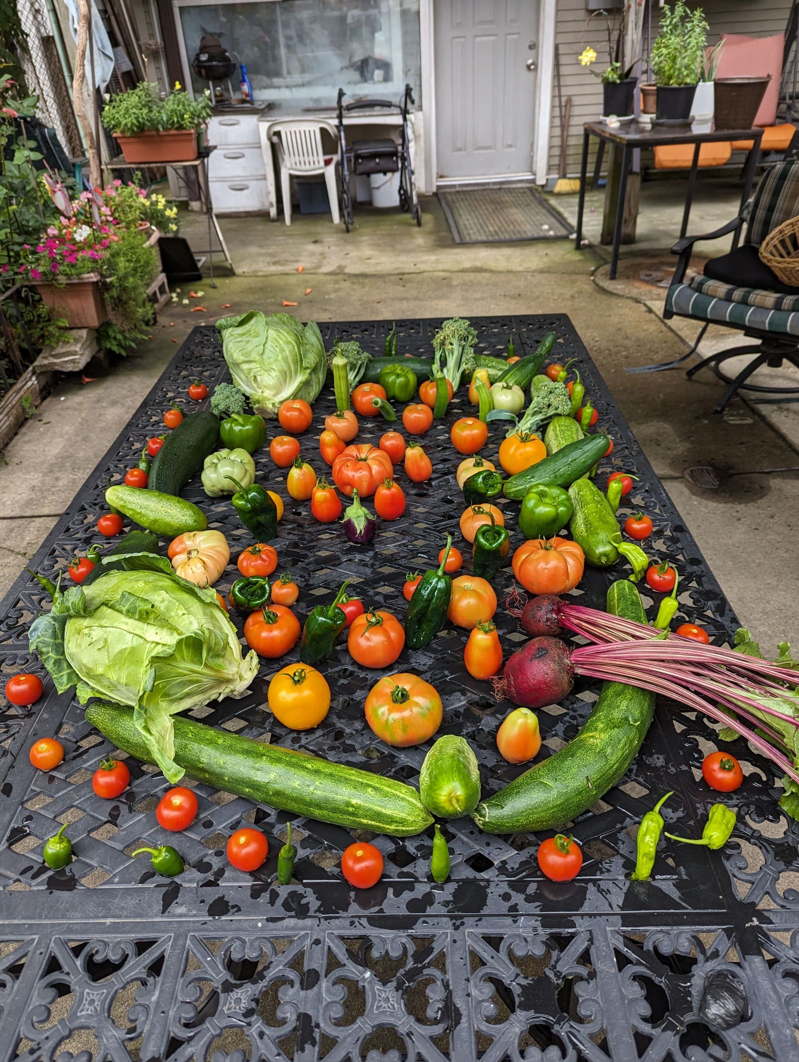 The week's harvest arranged on the table. August 2023.