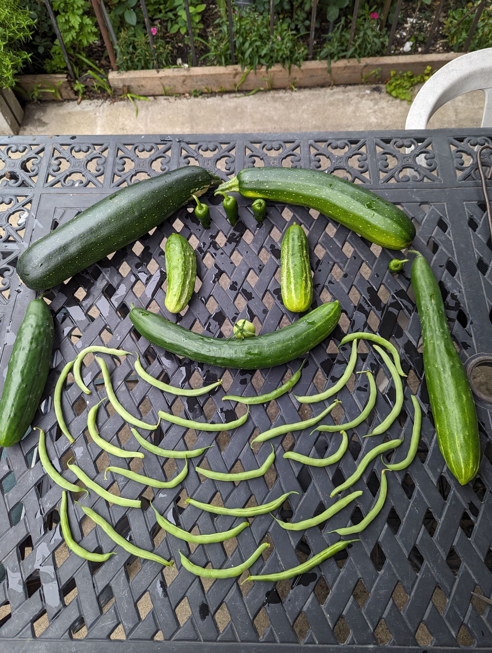 The week's harvest arranged on the table. July 2023.