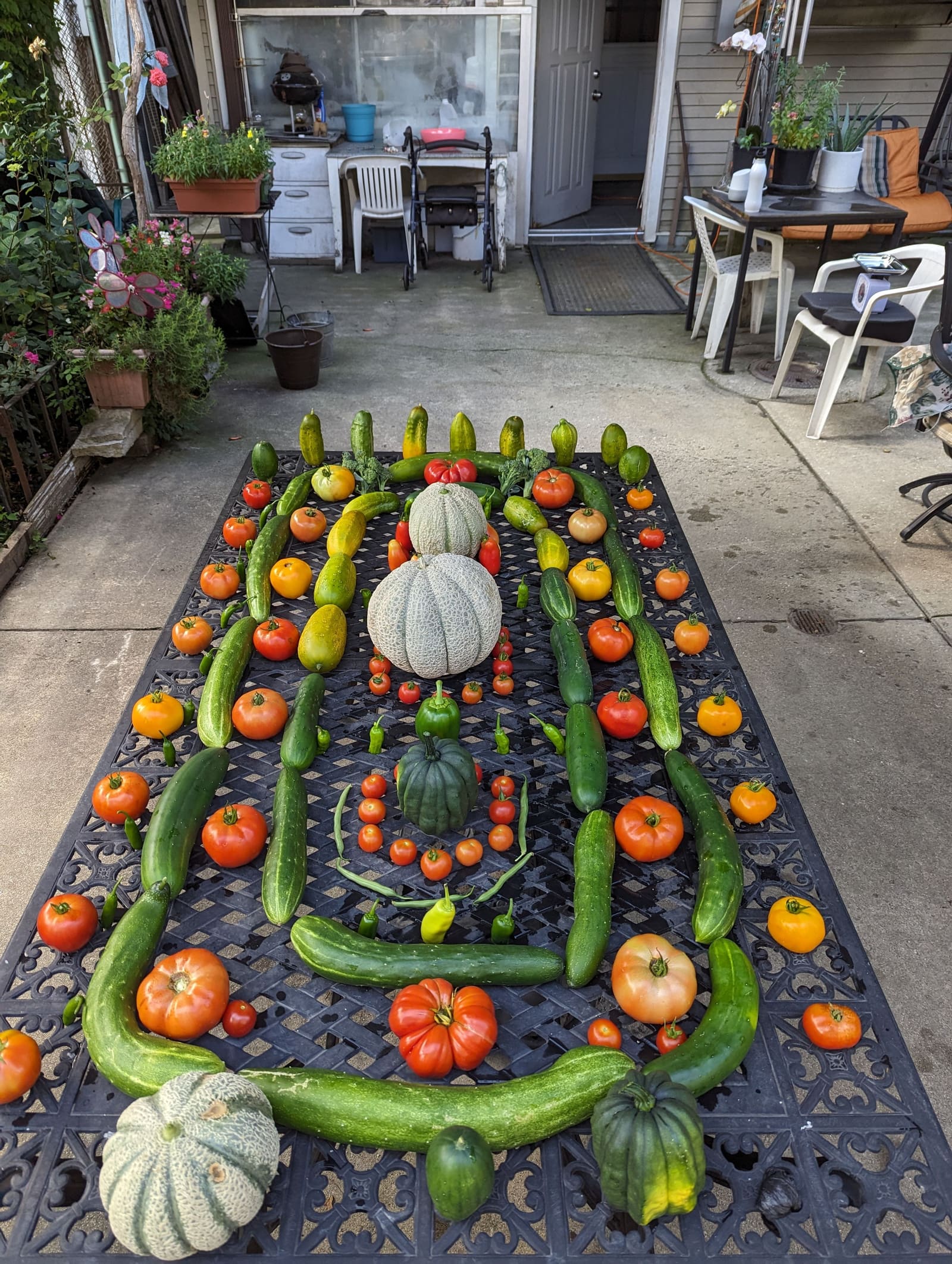 The week's harvest arranged on the table. September 2023.
