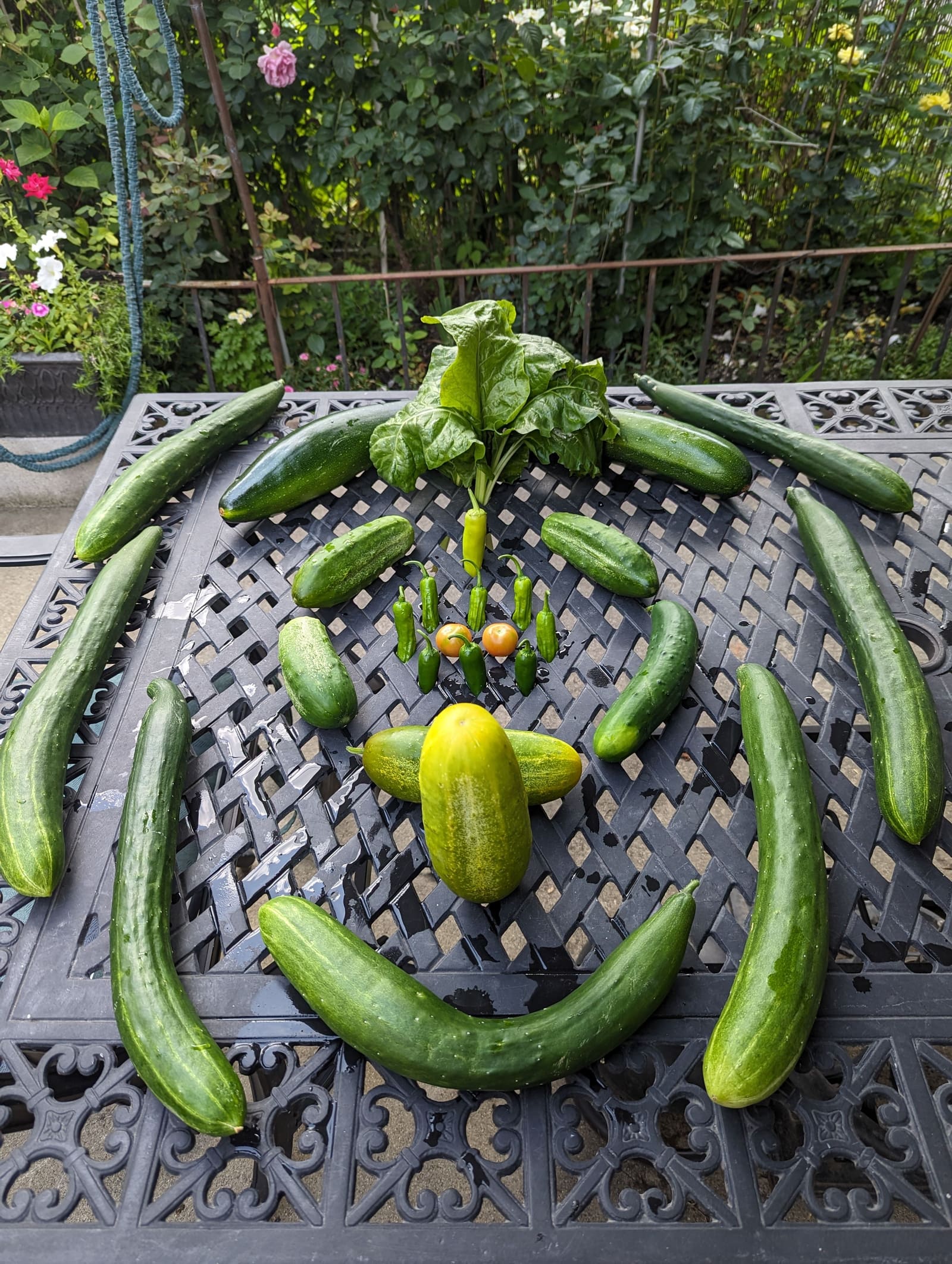 The week's harvest arranged on the table. July 2023.