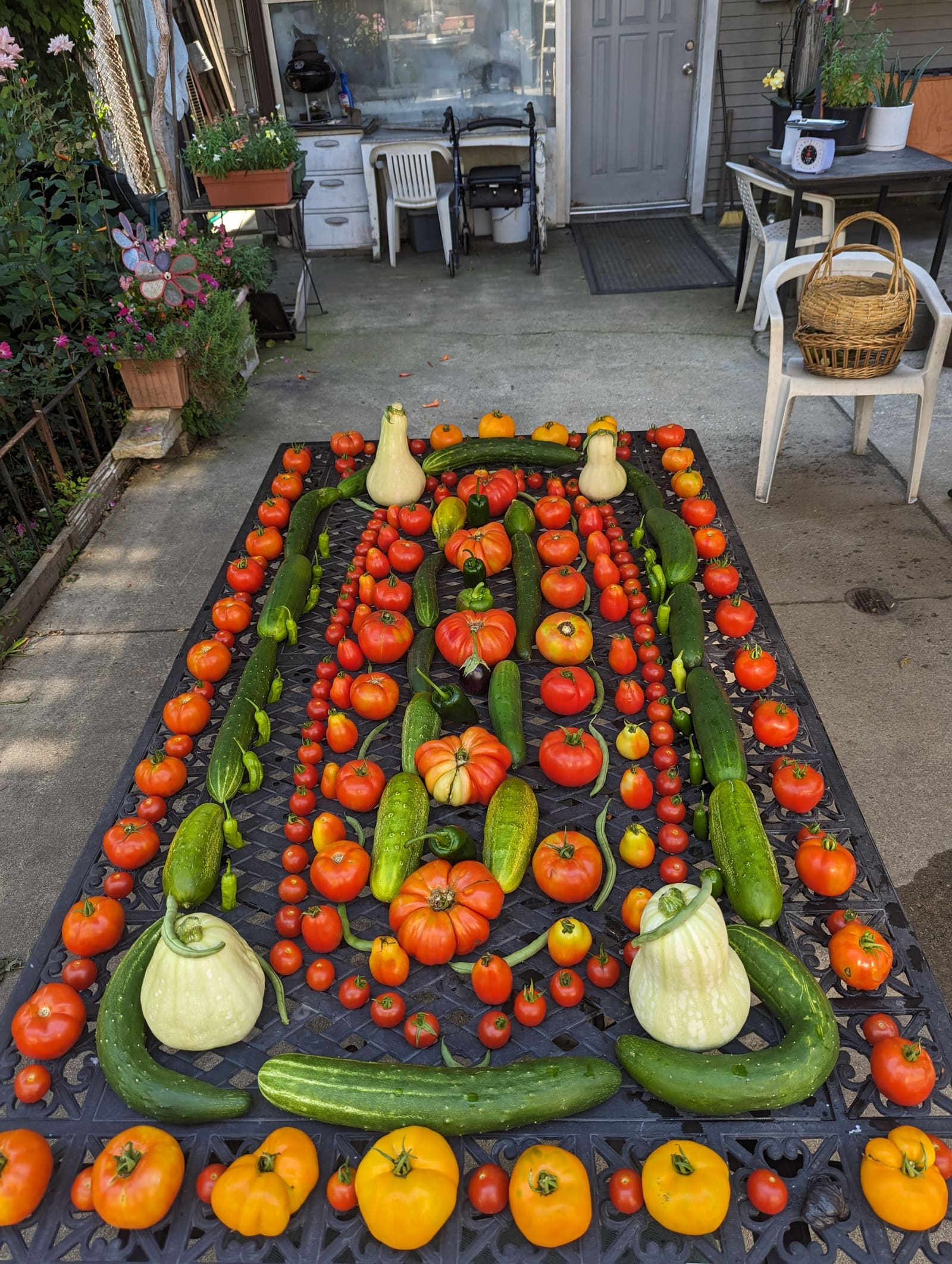The week's harvest arranged on the table. August 2023.