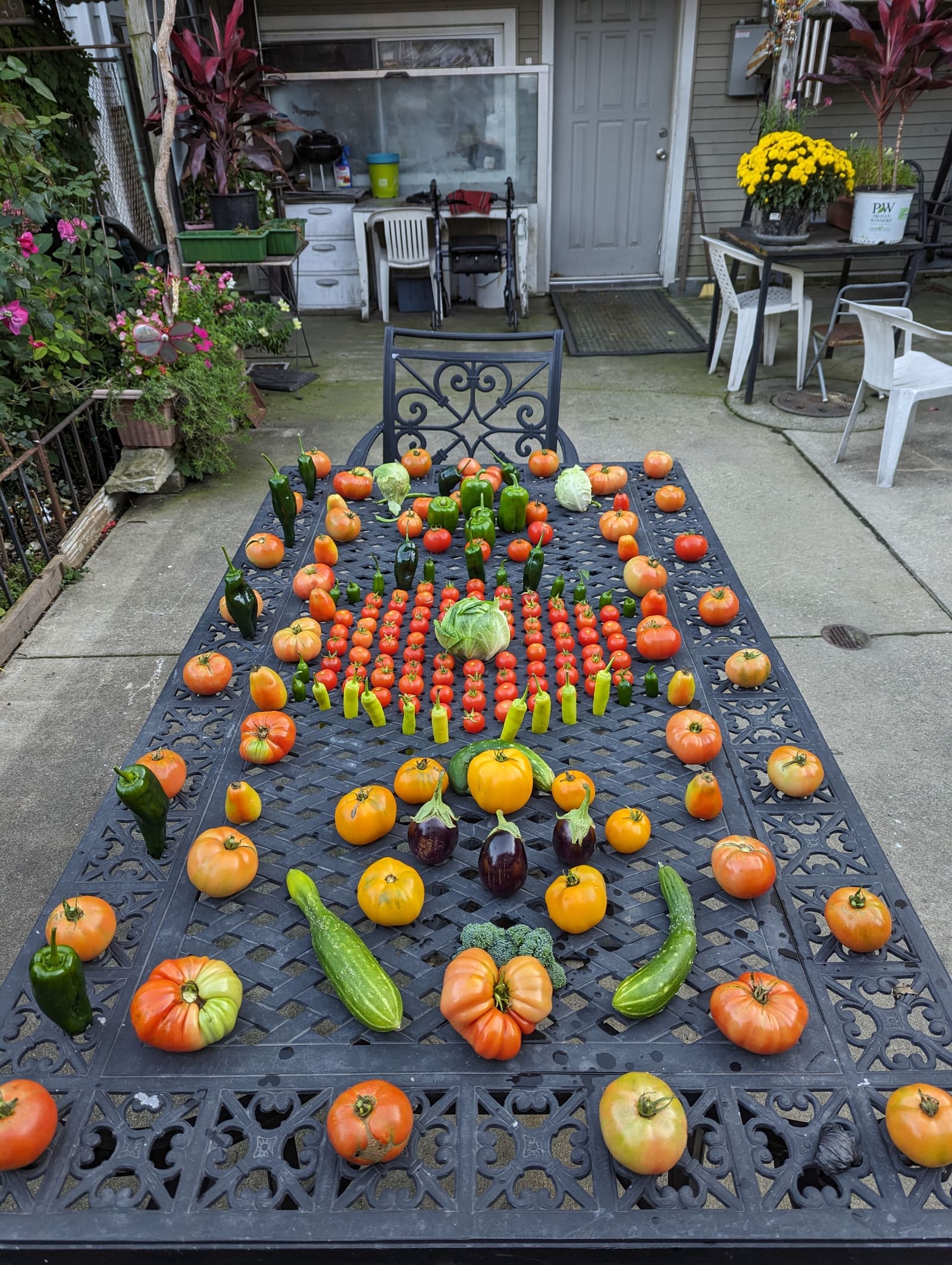 The week's harvest arranged on the table. October 2023.