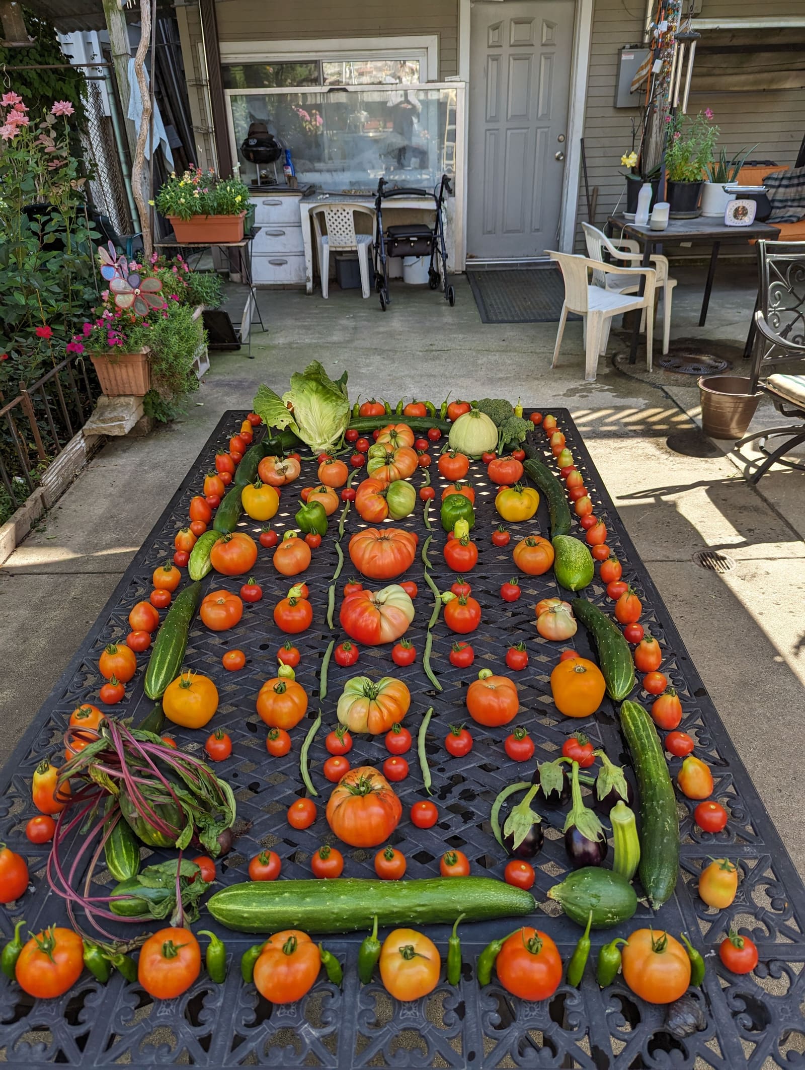 The week's harvest arranged on the table. August 2023.