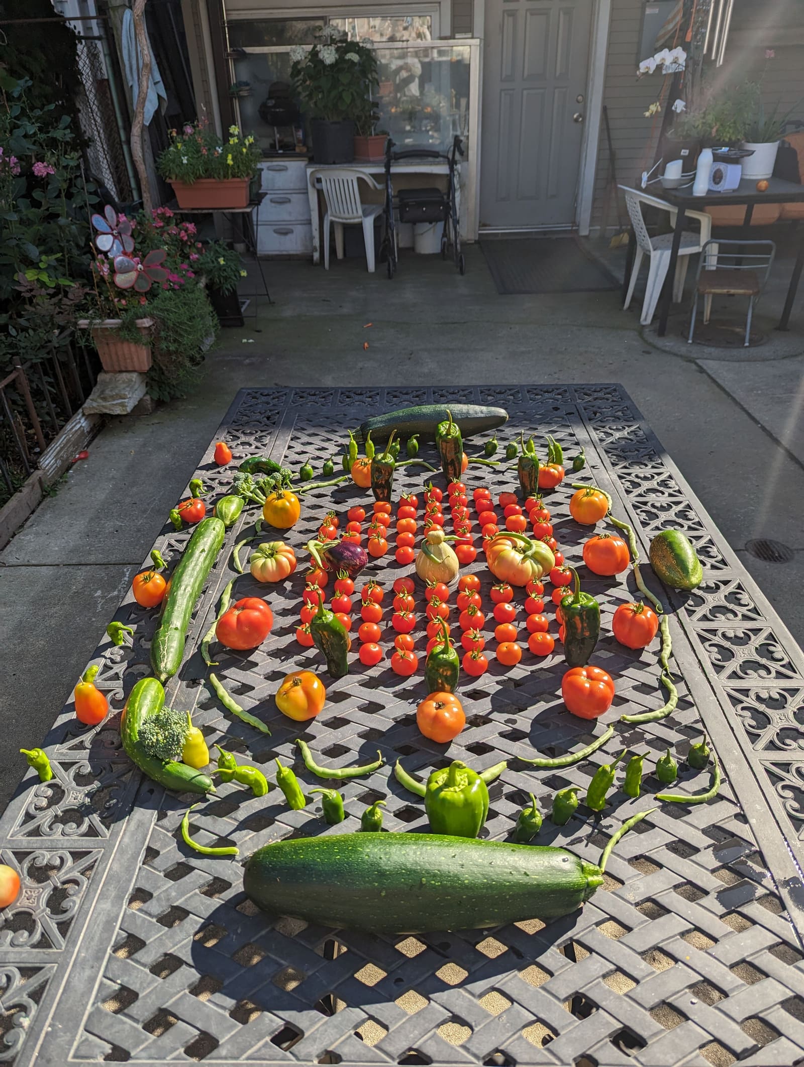 The week's harvest arranged on the table. September 2023.
