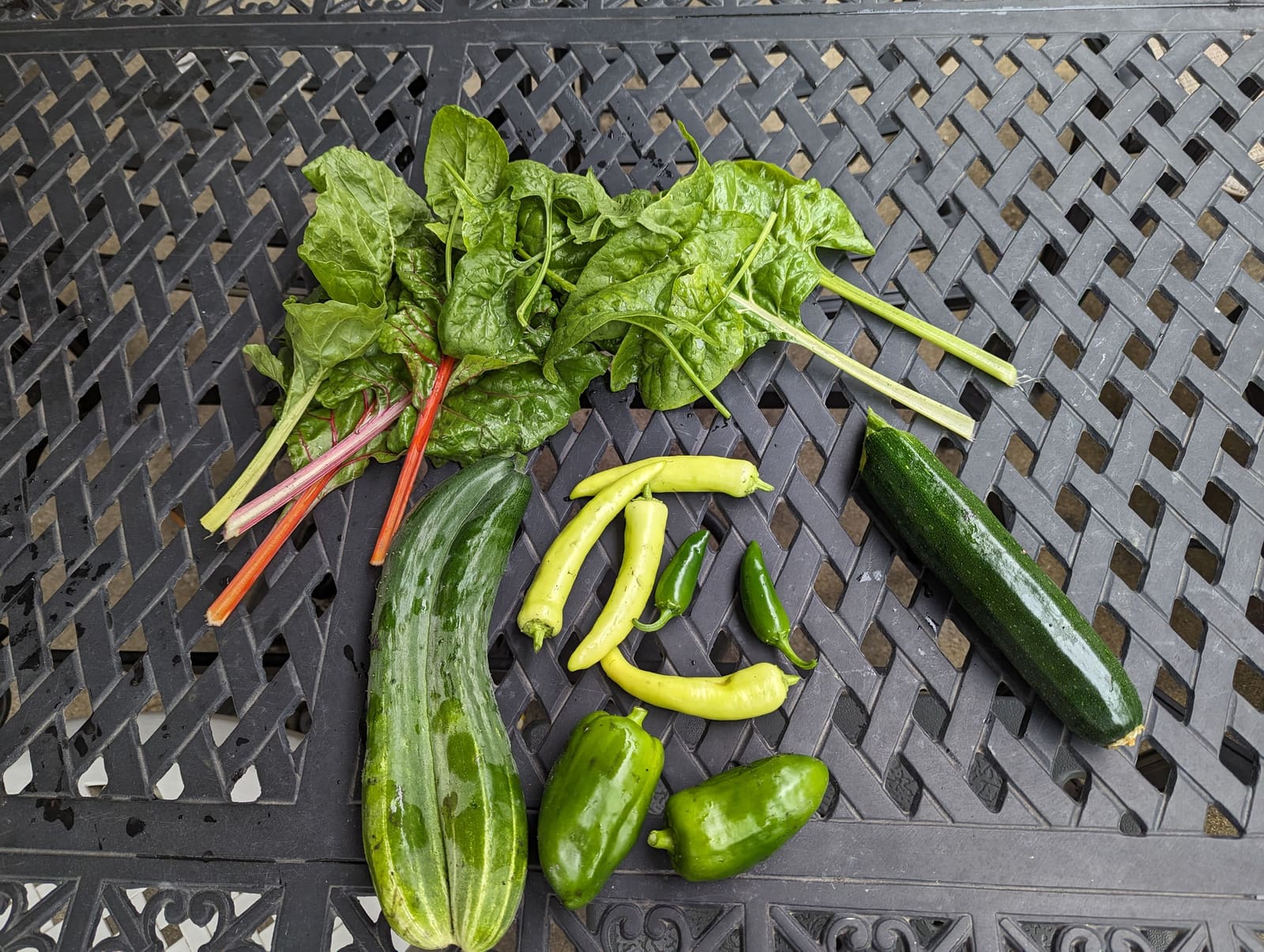 The week's harvest arranged on the table. July 2023.