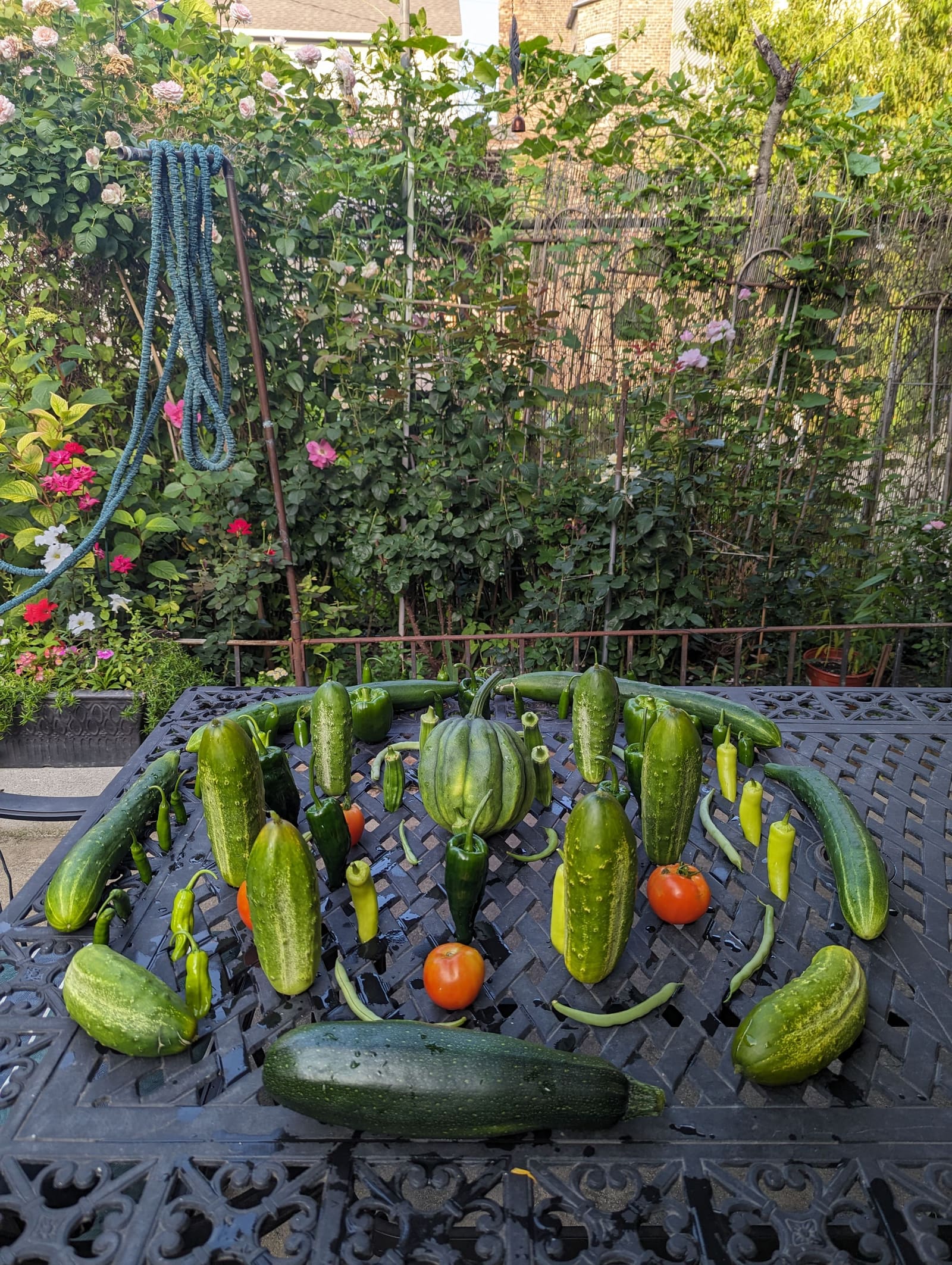 The week's harvest arranged on the table. July 2023.