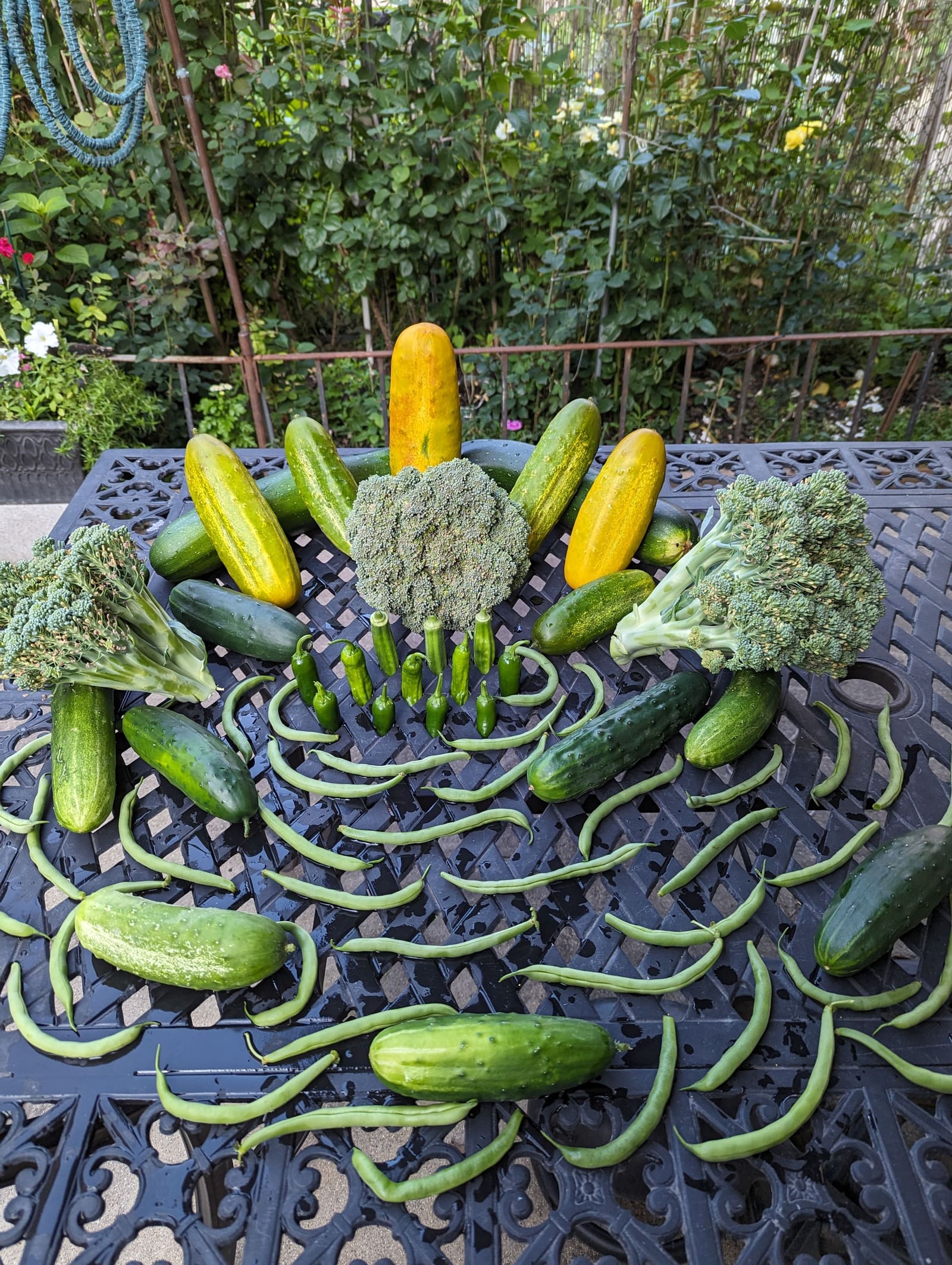 The week's harvest arranged on the table. July 2023.