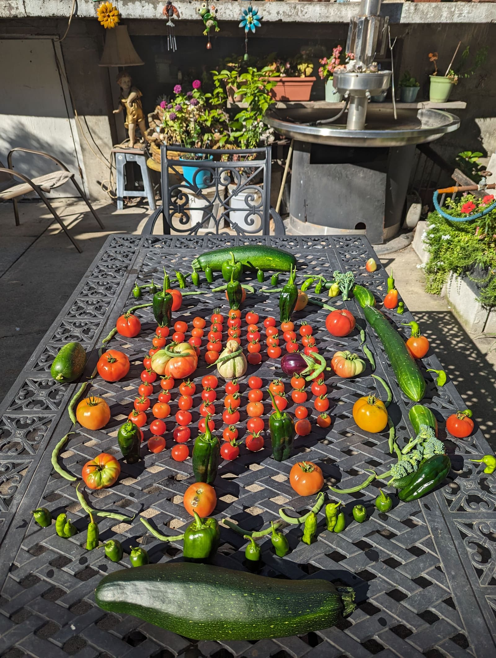 The week's harvest arranged on the table. September 2023.