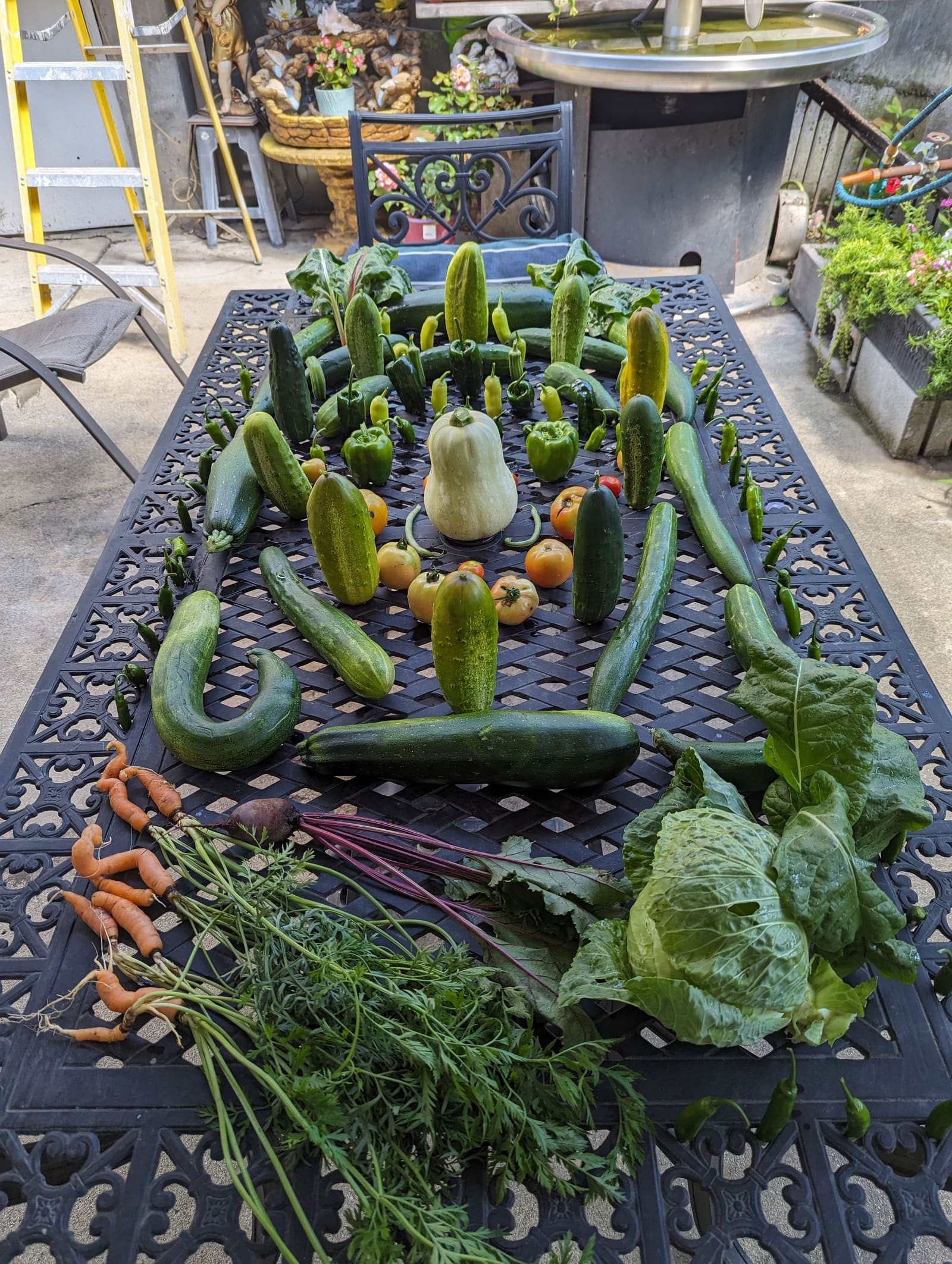 The week's harvest arranged on the table. July 2023.