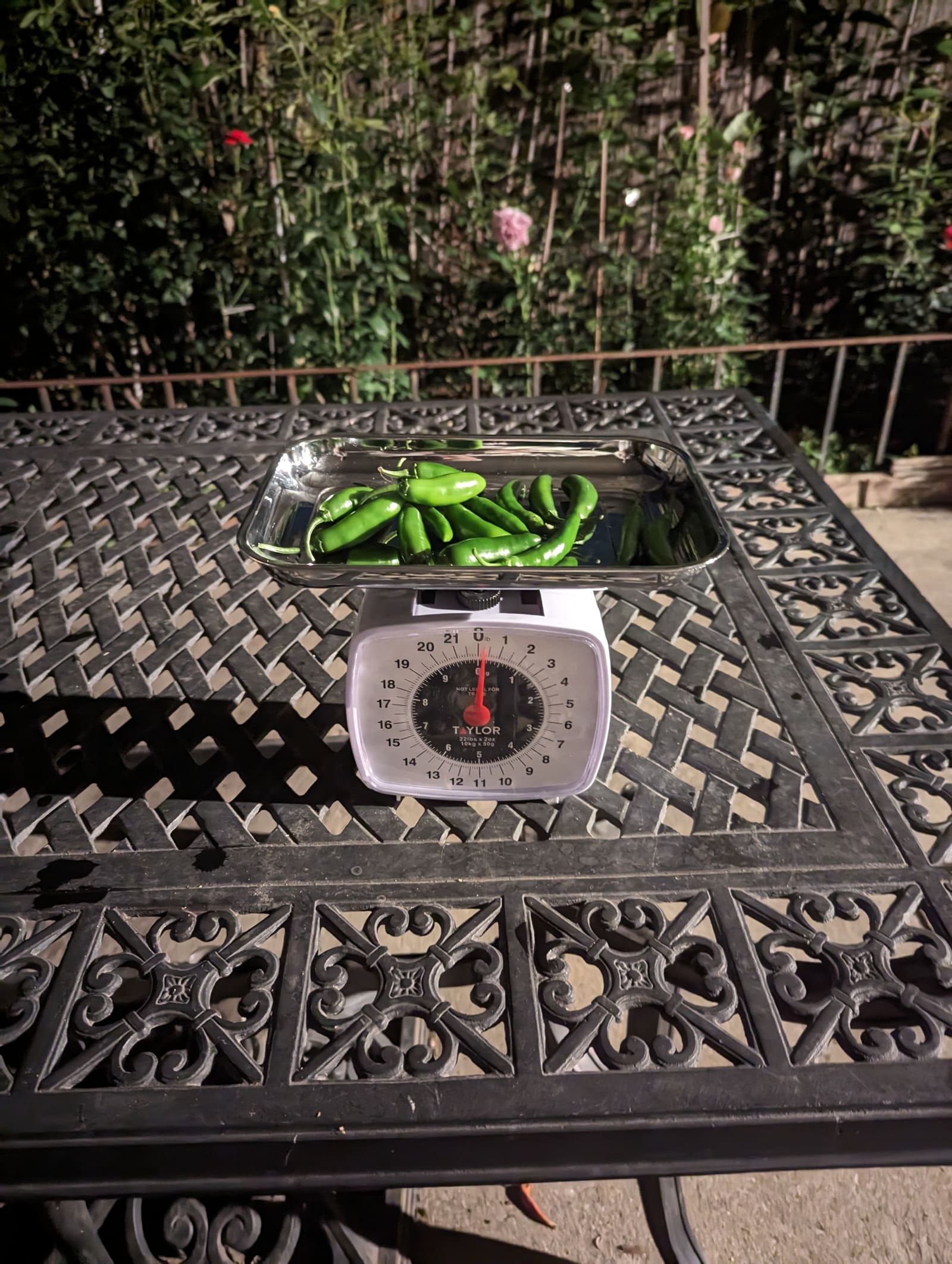 The week's harvest arranged on the table, with the scale in frame. August 2023.