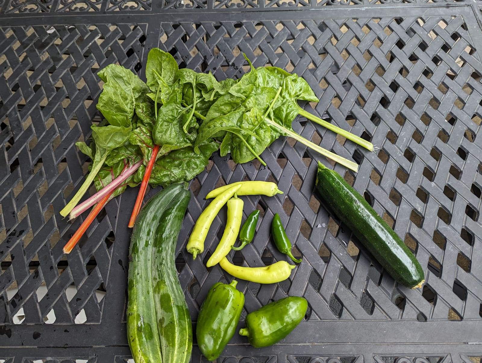 The week's harvest arranged on the table. July 2023.