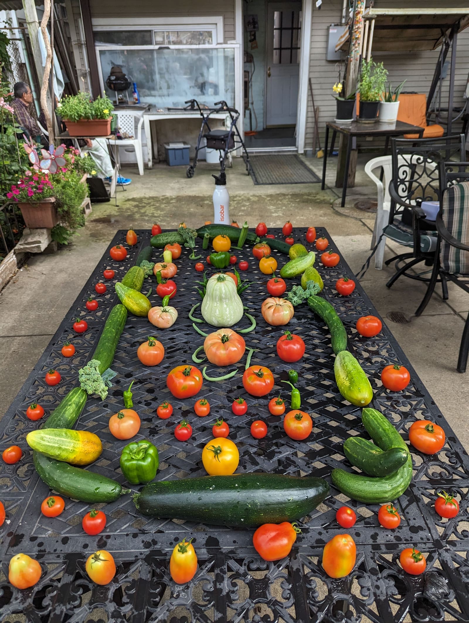 The week's harvest arranged on the table. August 2023.