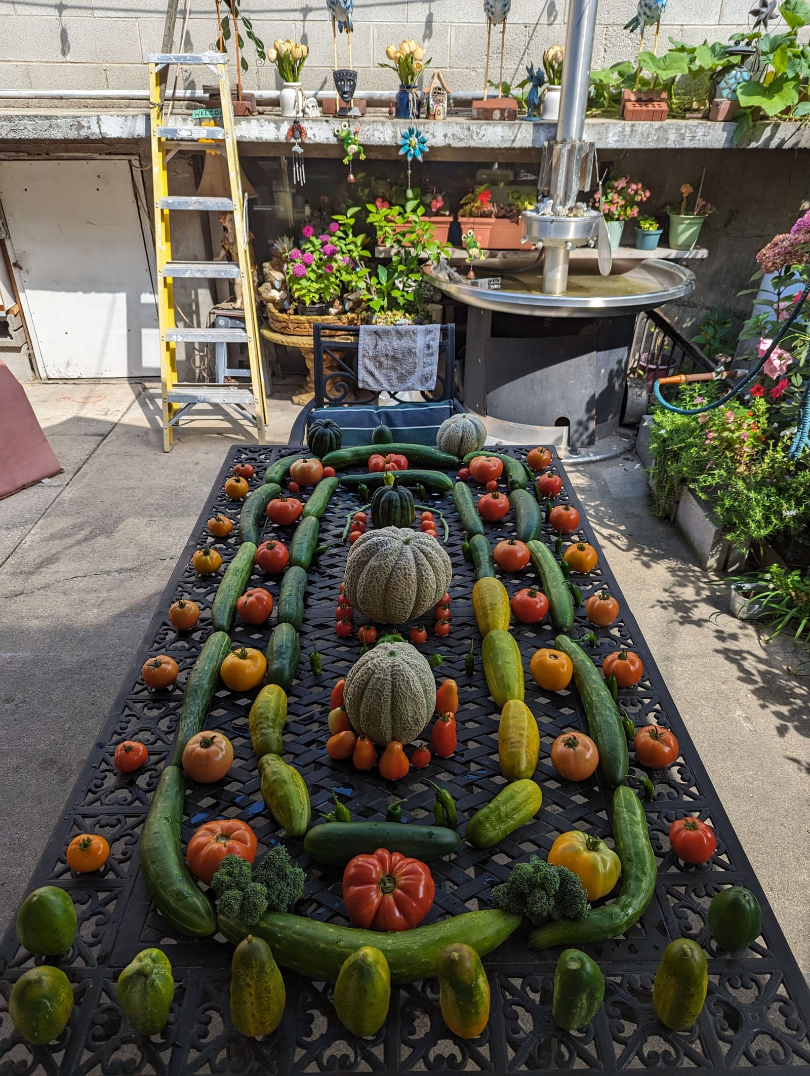 The week's harvest arranged on the table. September 2023.