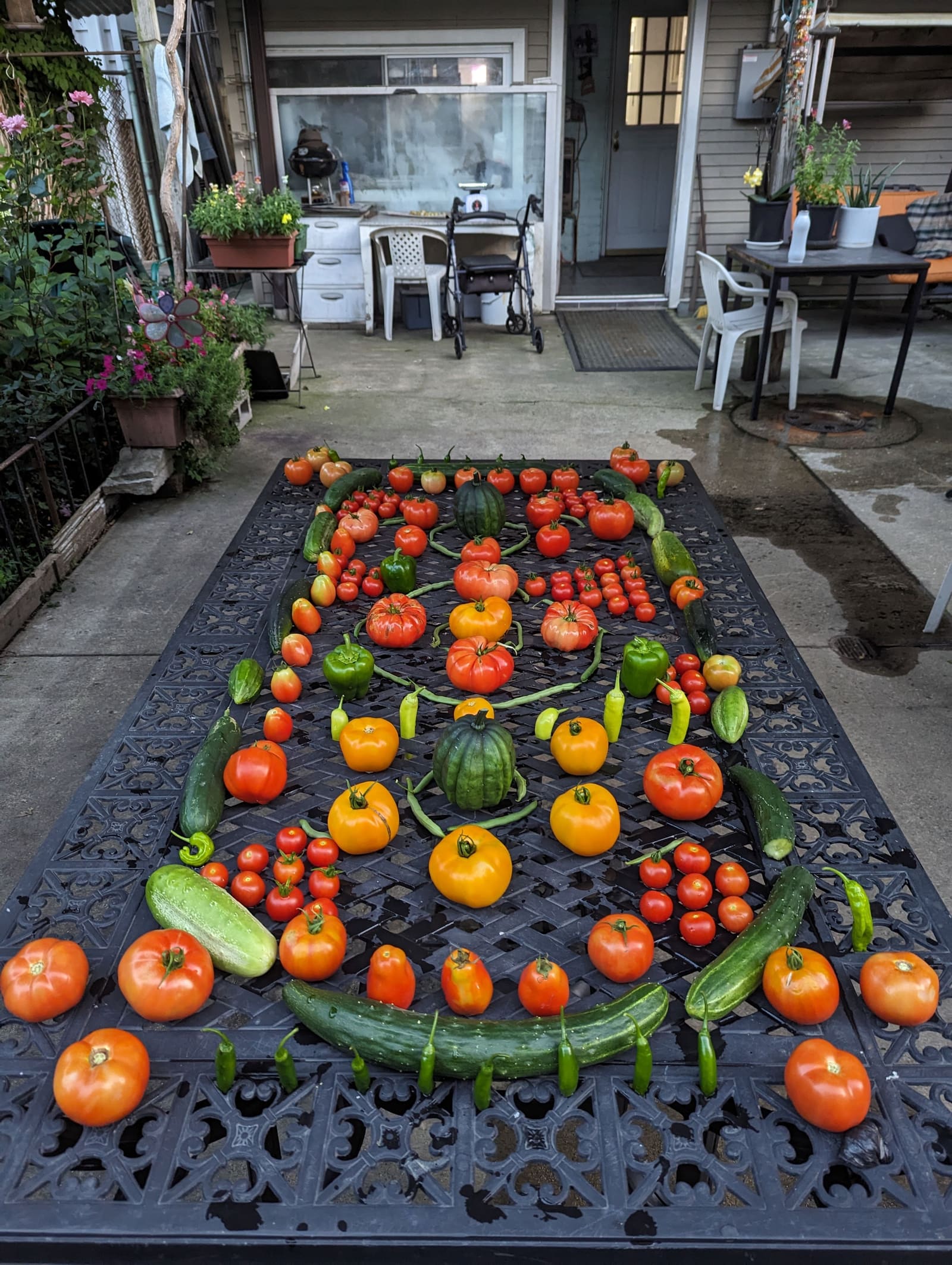 The week's harvest arranged on the table. August 2023.