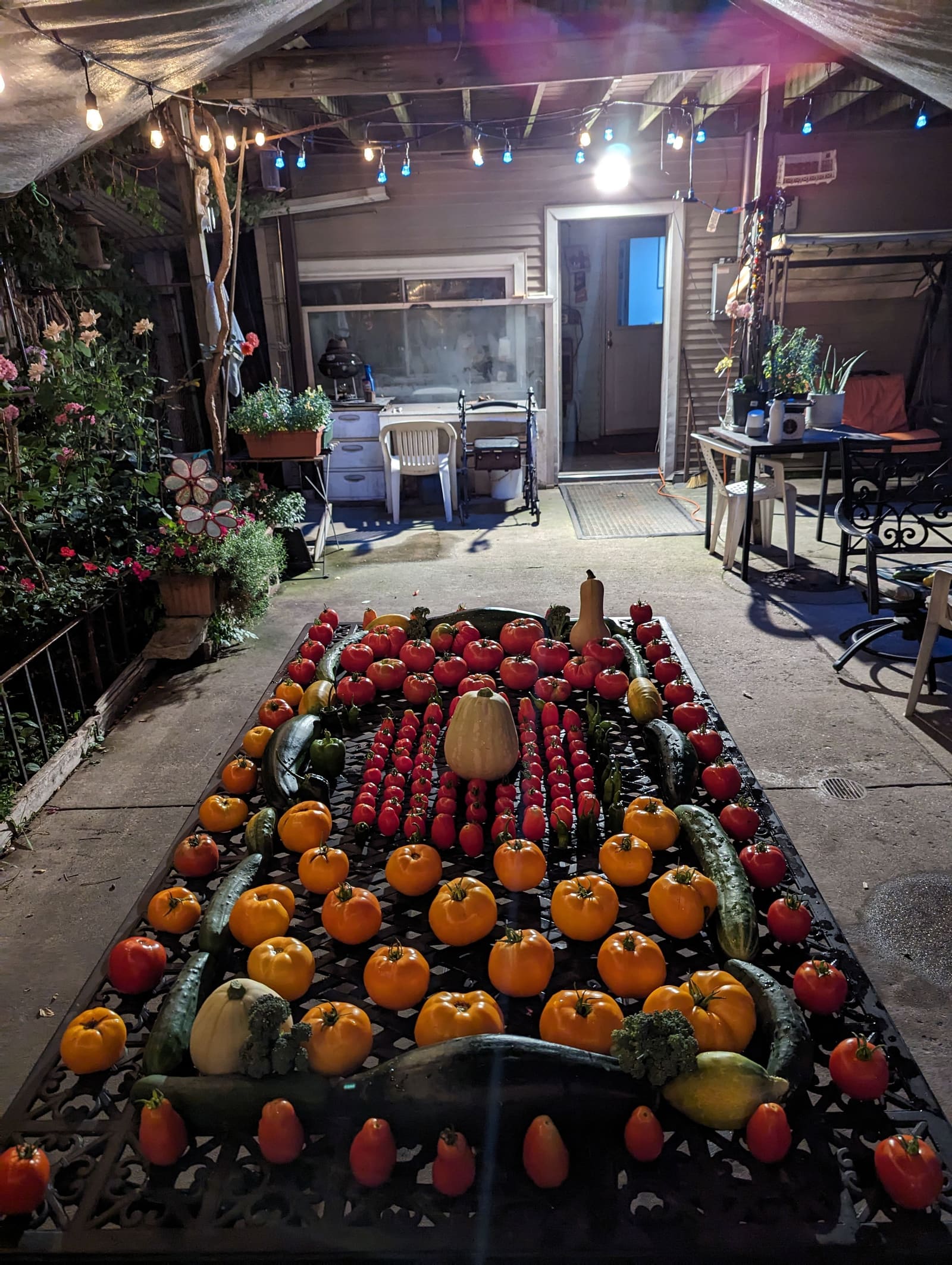 The week's harvest arranged on the table. September 2023.