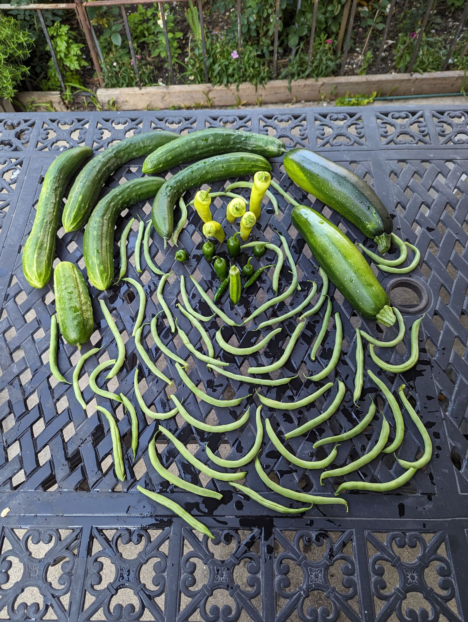 The week's harvest arranged on the table. July 2023.