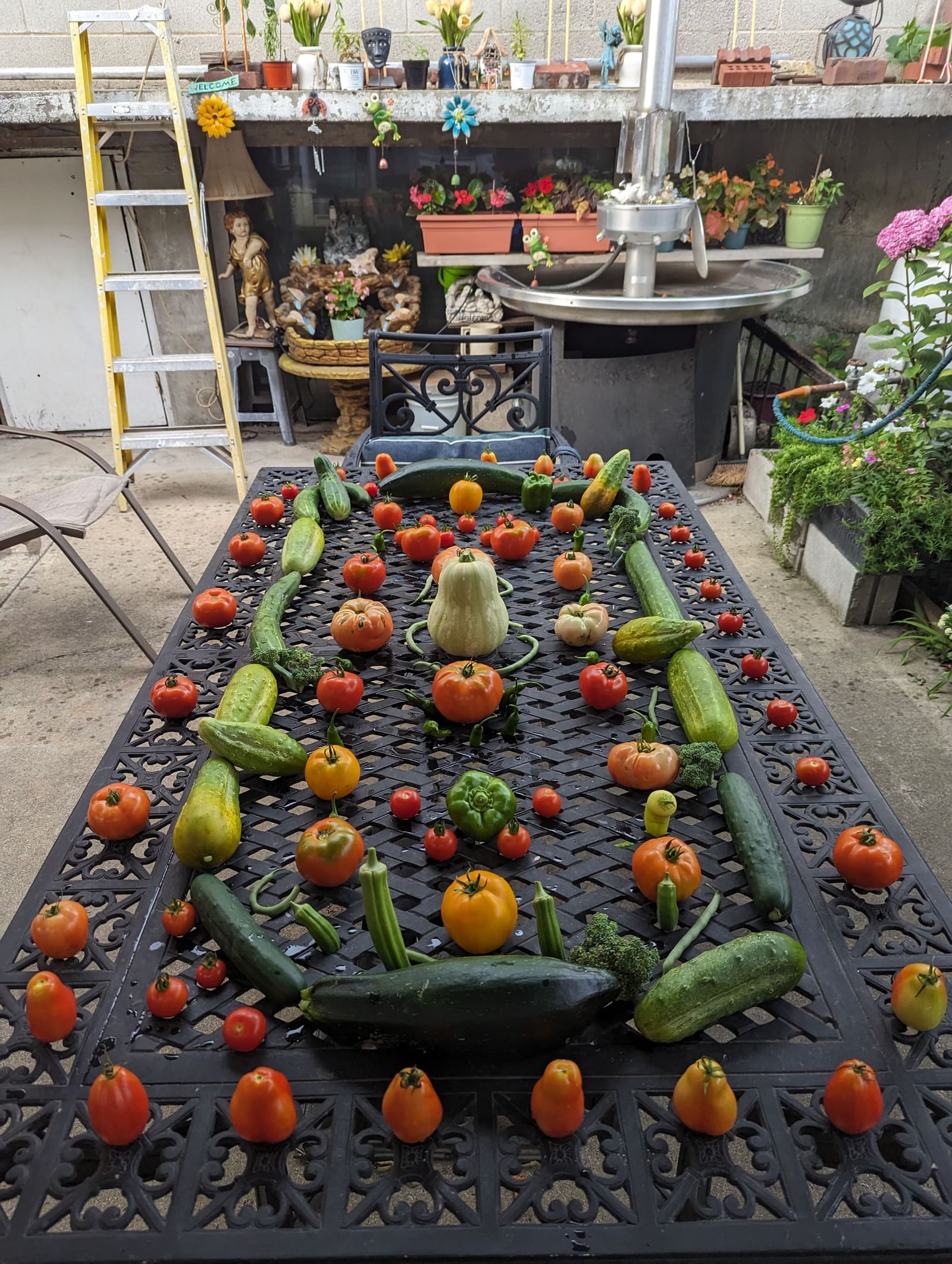 The week's harvest arranged on the table. August 2023.