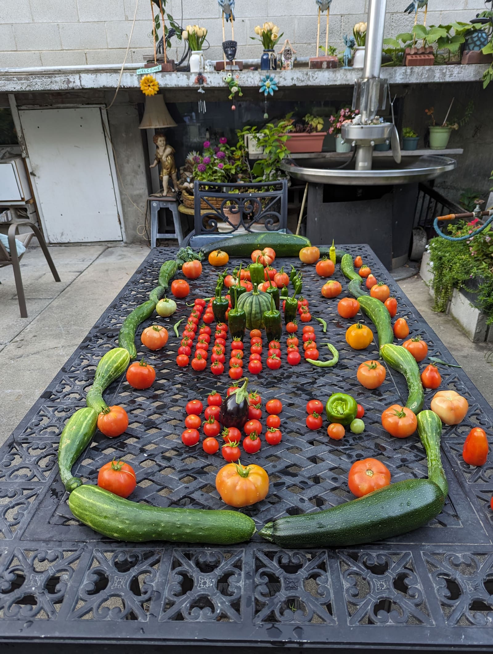 The week's harvest arranged on the table. September 2023.