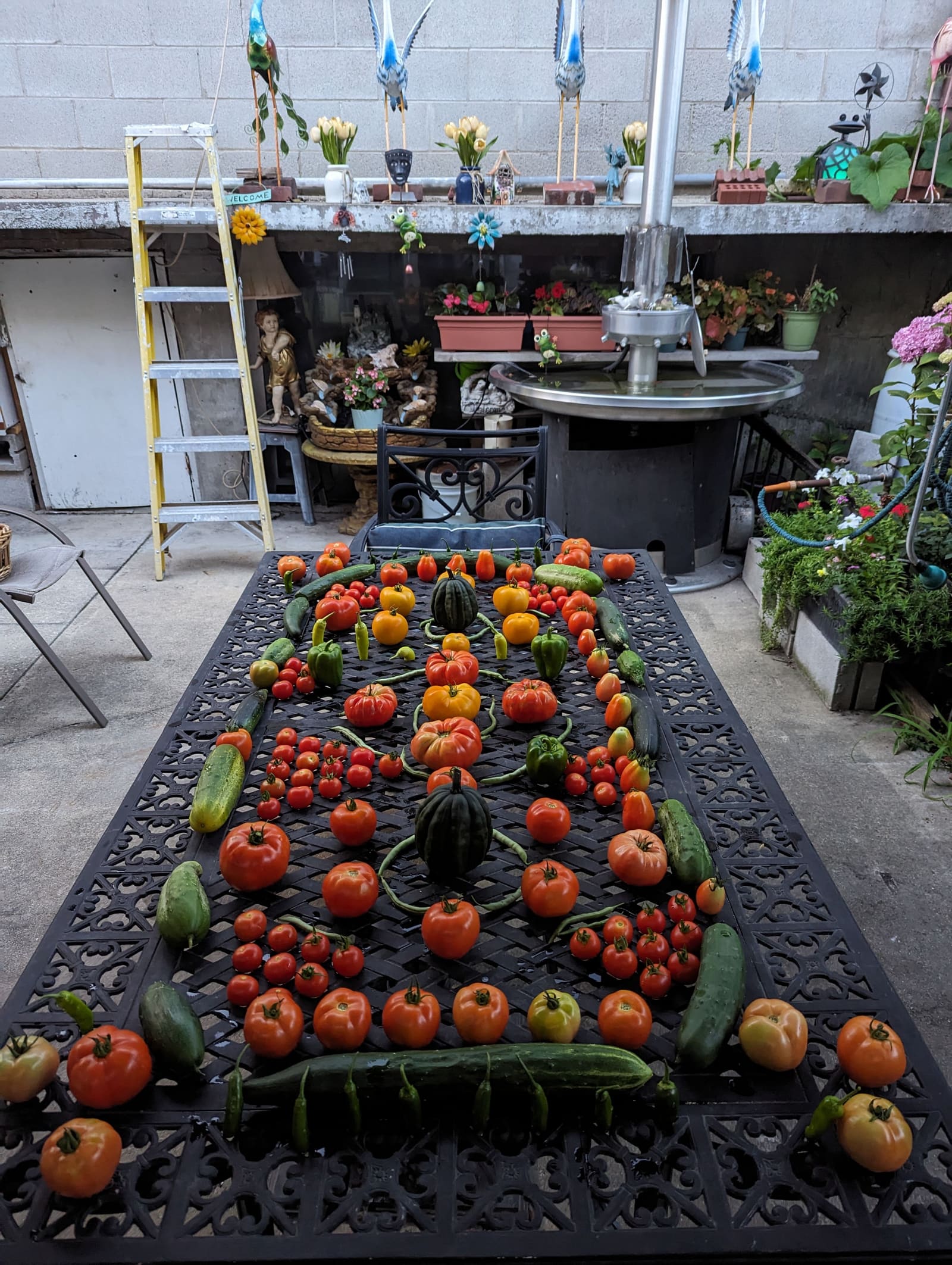 The week's harvest arranged on the table. August 2023.
