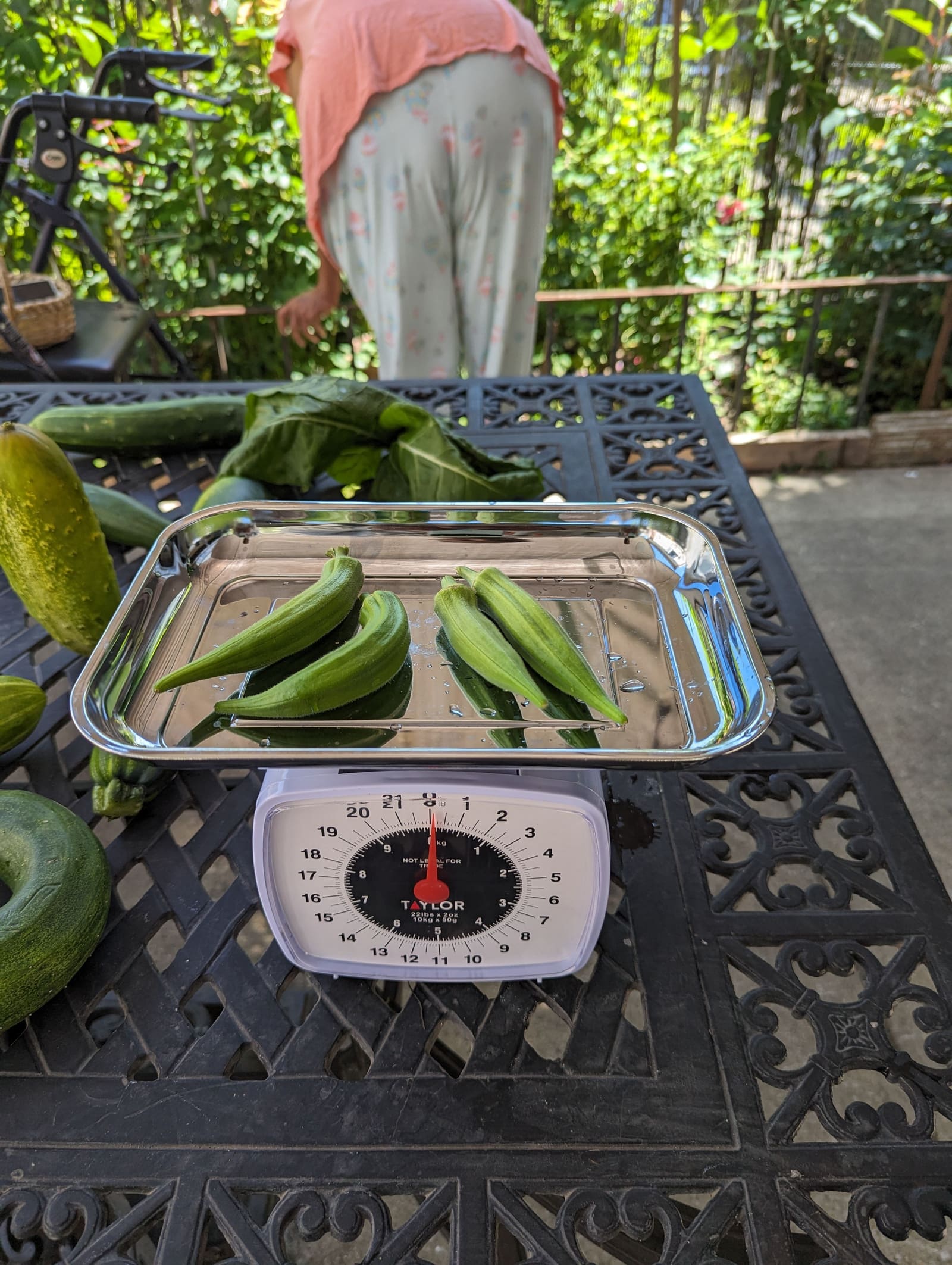 The week's harvest arranged on the table, with the scale in frame. July 2023.