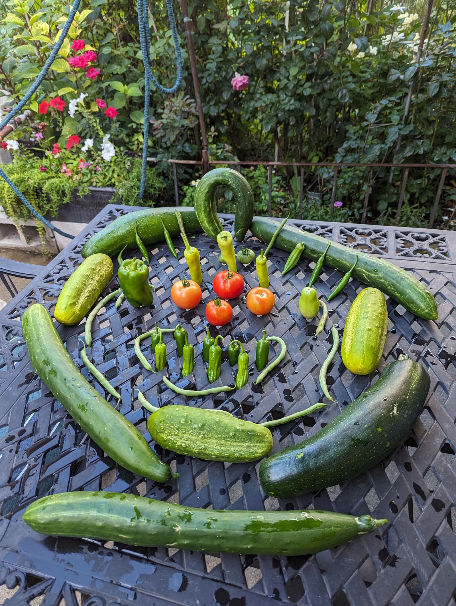 The week's harvest arranged on the table. July 2023.