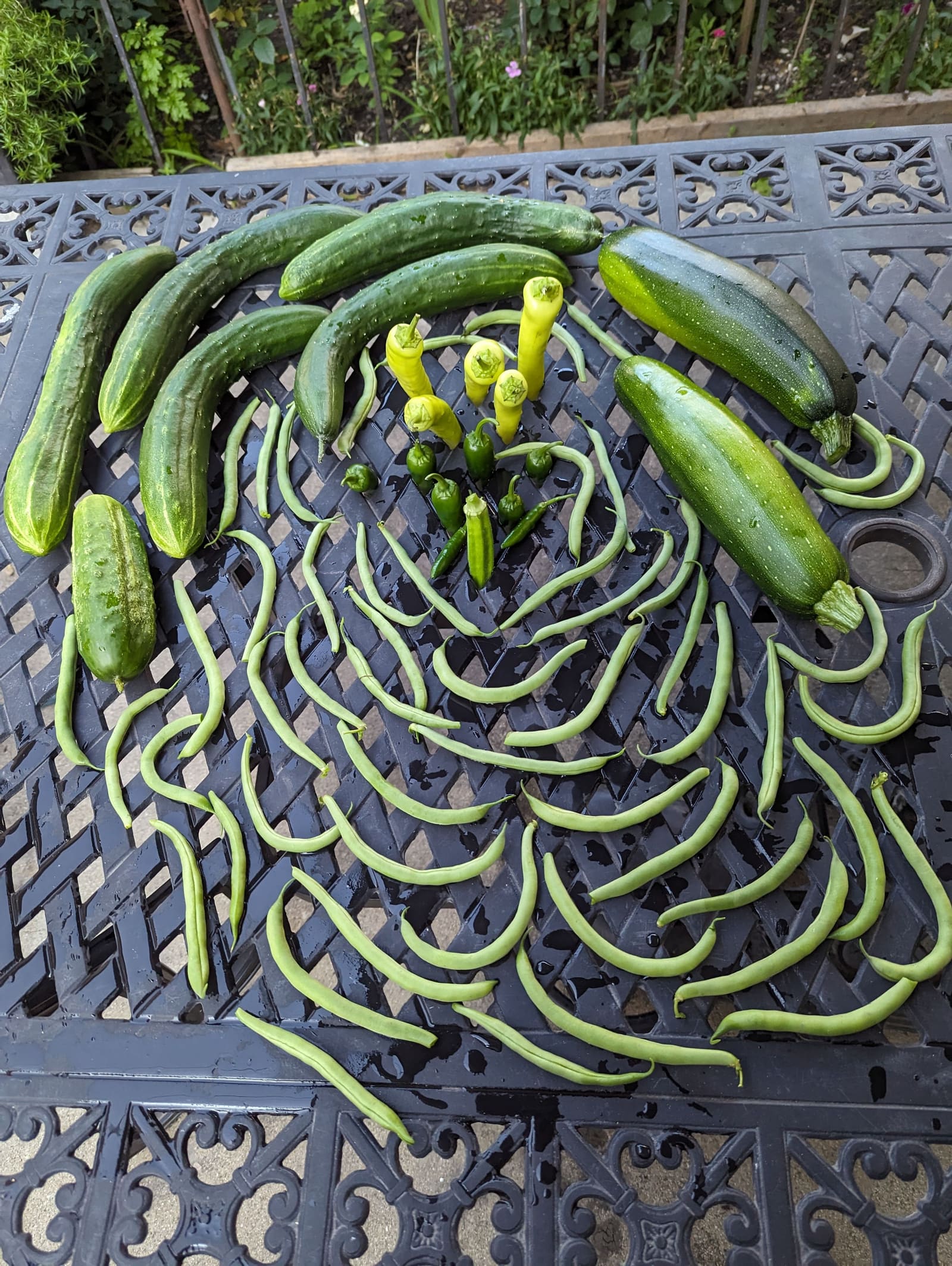 The week's harvest arranged on the table. July 2023.