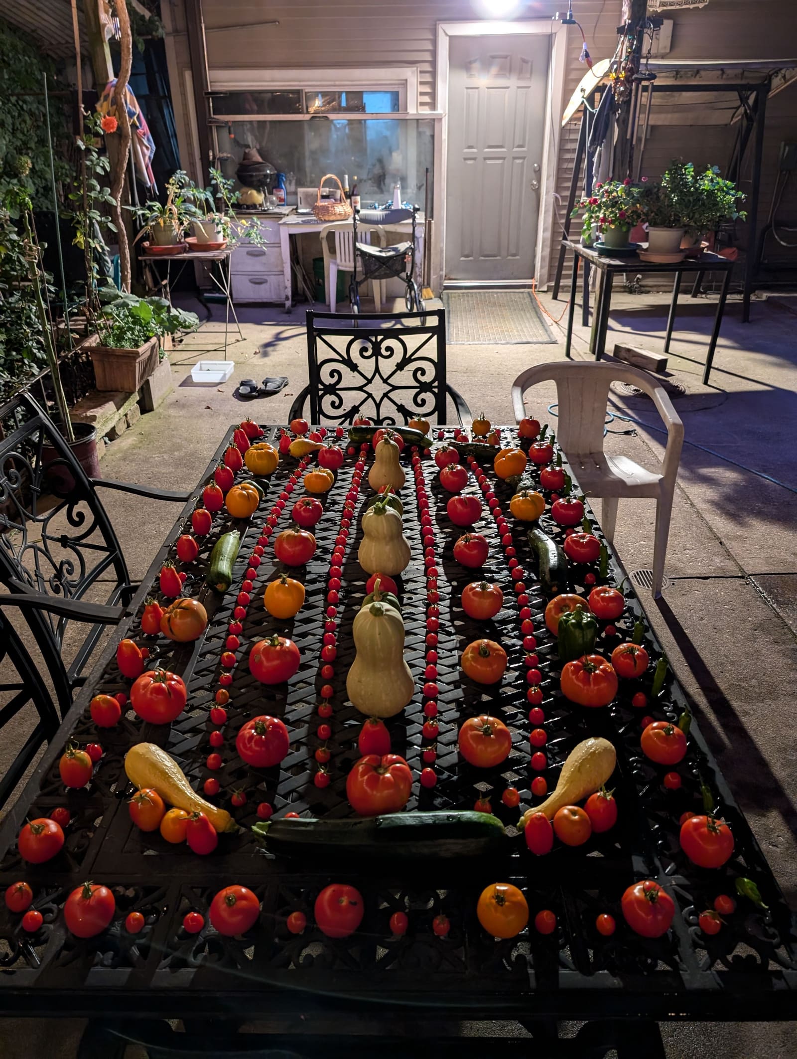 The week's harvest arranged on the table. September 2024.