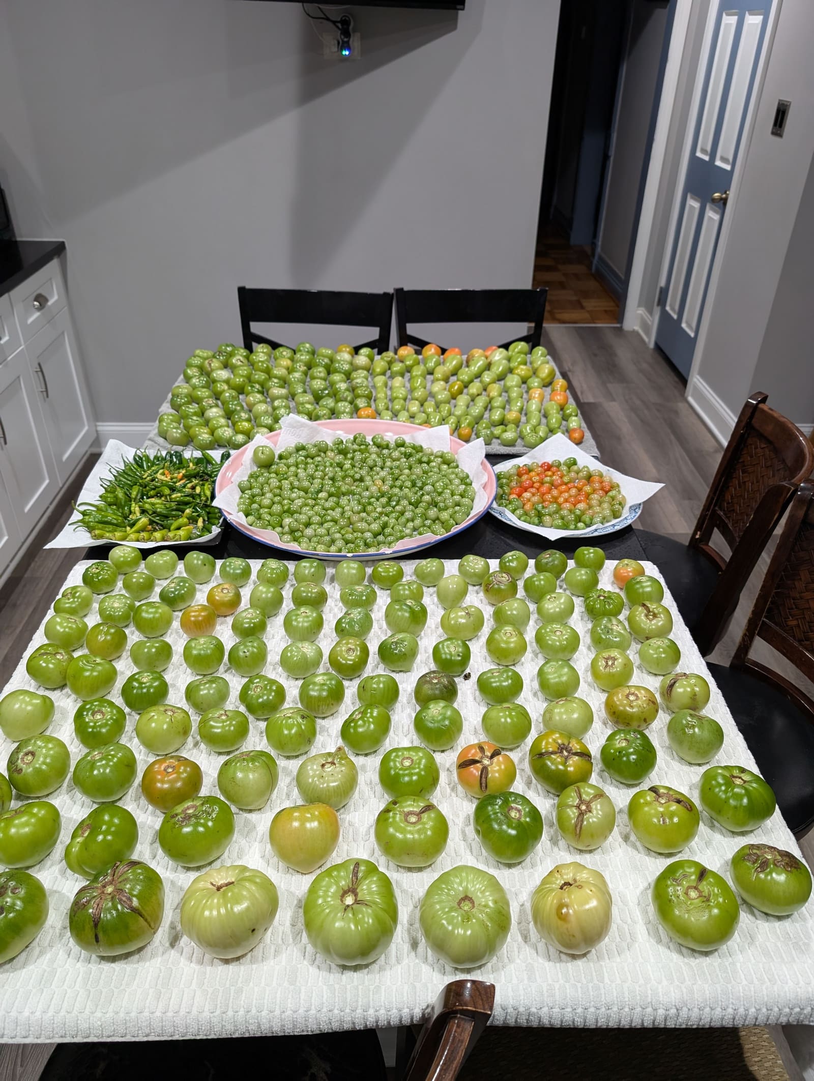 The week's harvest arranged on the table. November 2024.
