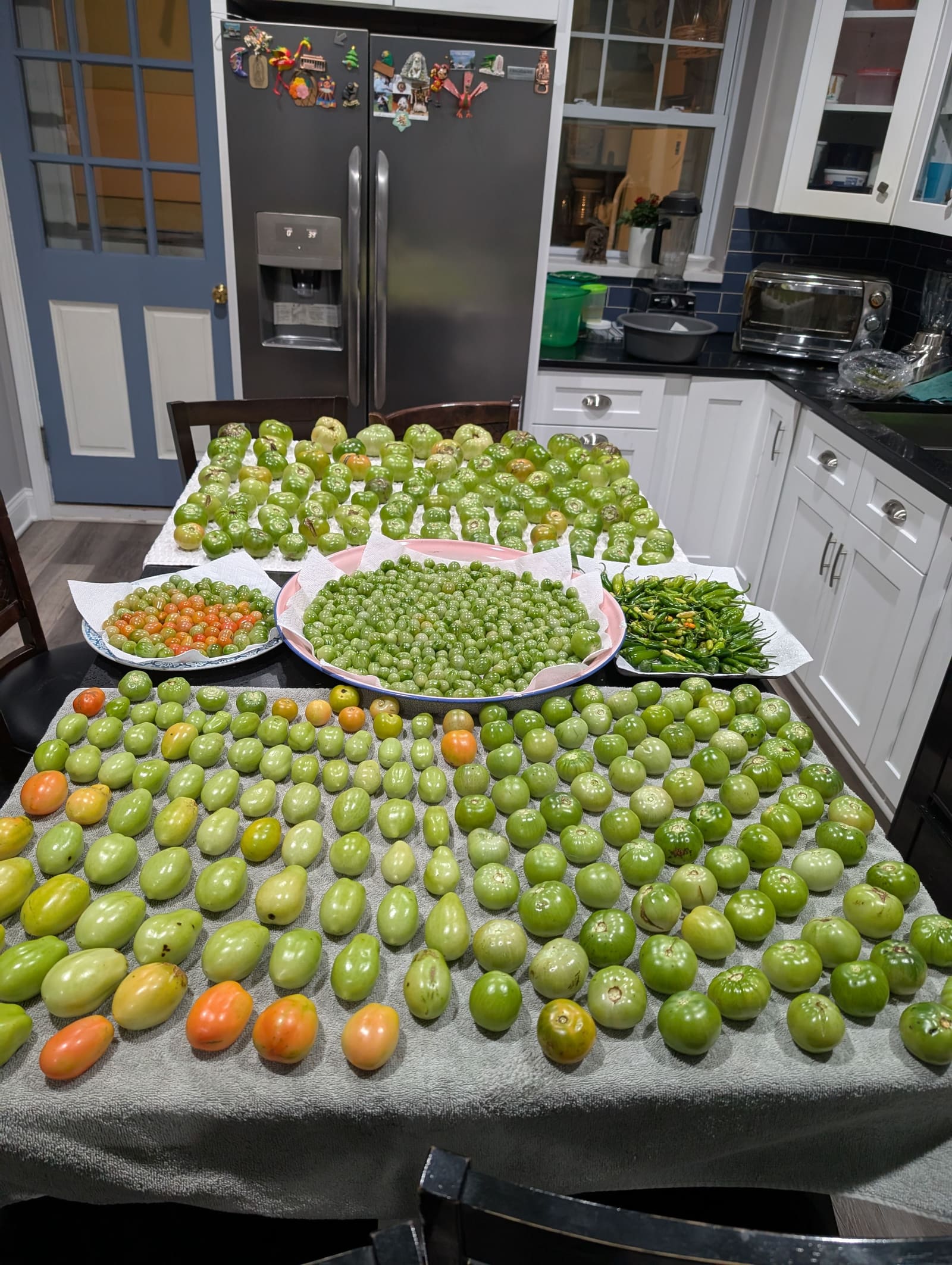 The week's harvest arranged on the table. November 2024.
