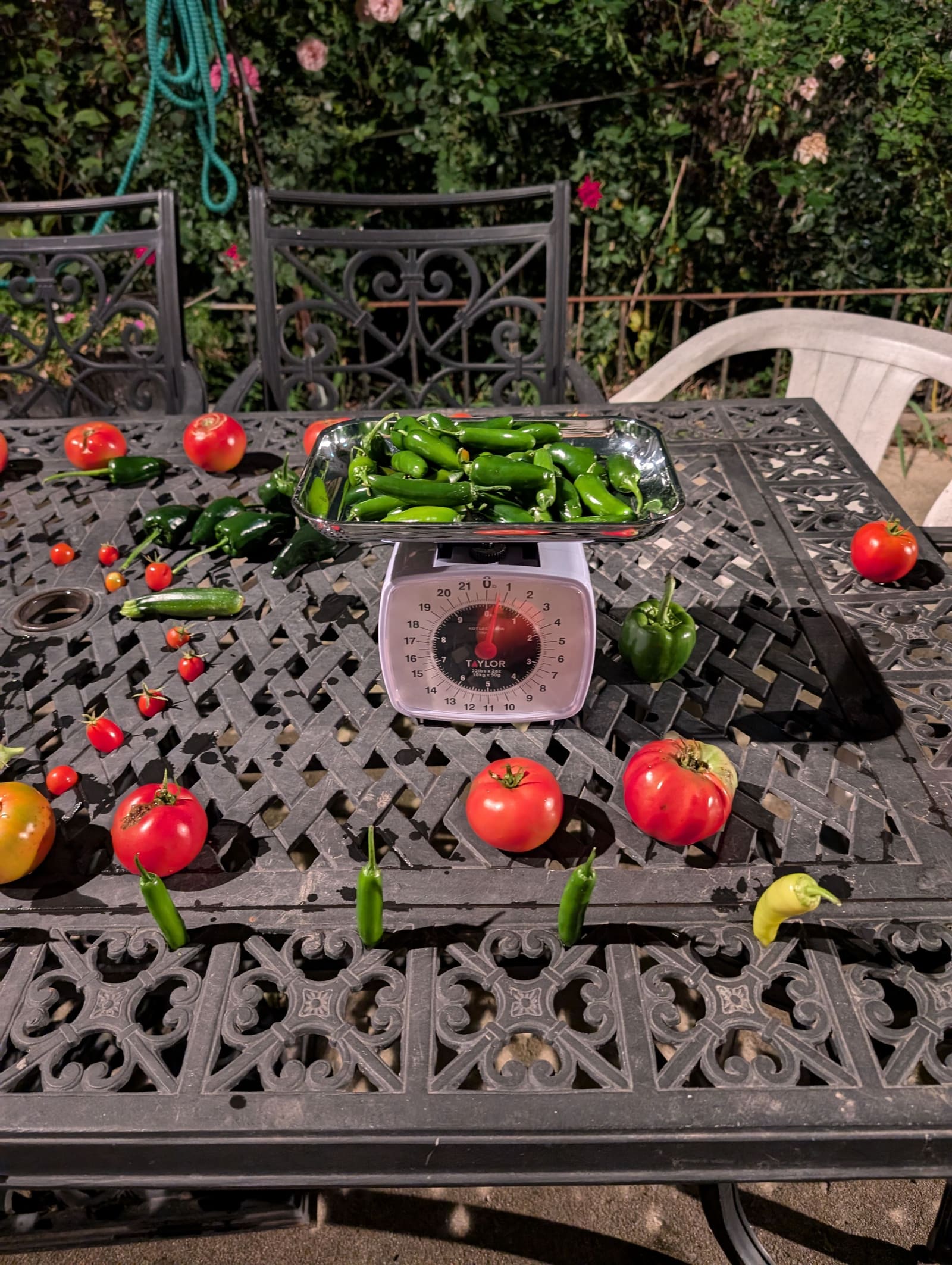 The week's harvest arranged on the table, with the scale in frame. October 2024.