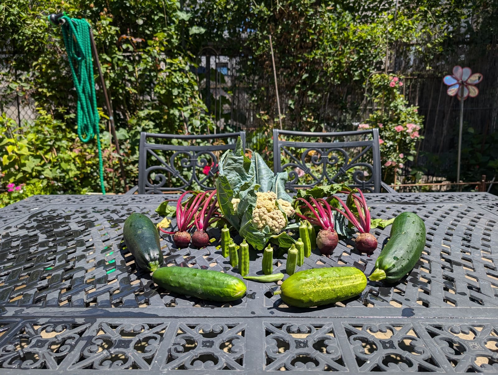 The week's harvest arranged on the table. July 2024.