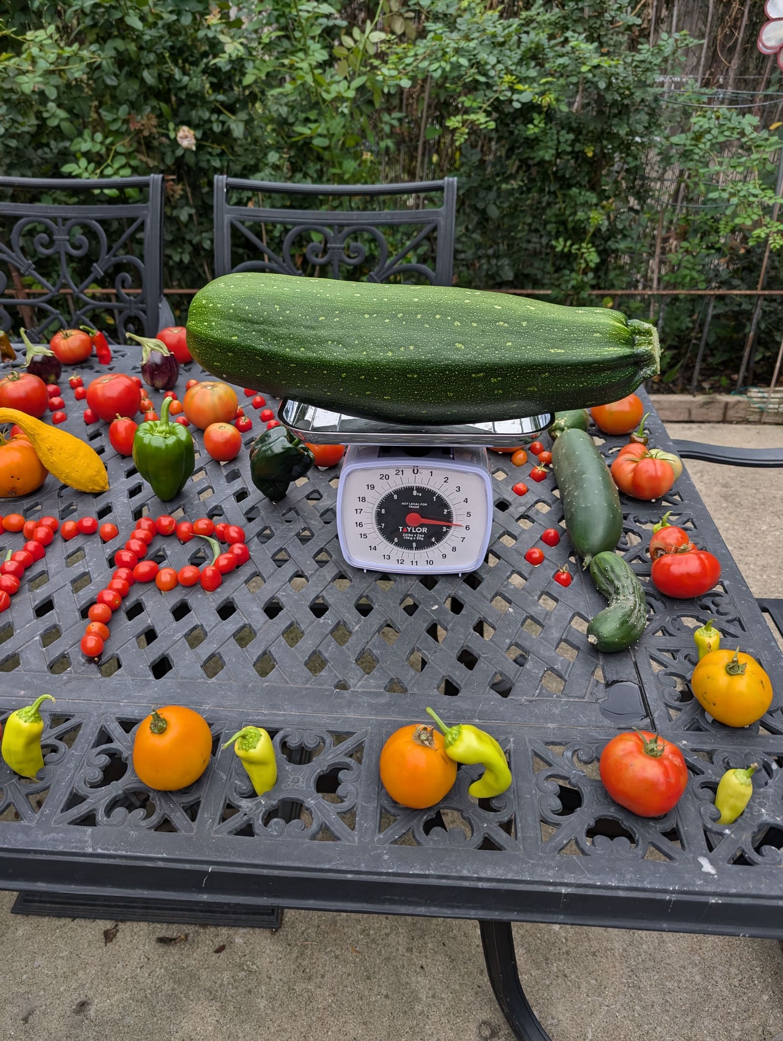The week's harvest arranged on the table, with the scale in frame. September 2024.