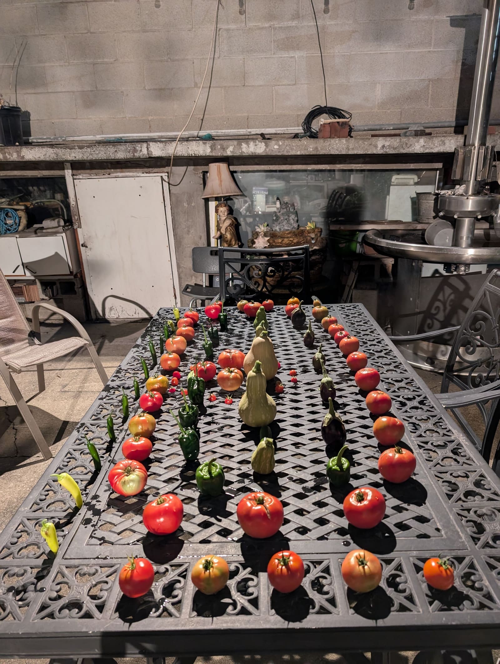 The week's harvest arranged on the table. October 2024.