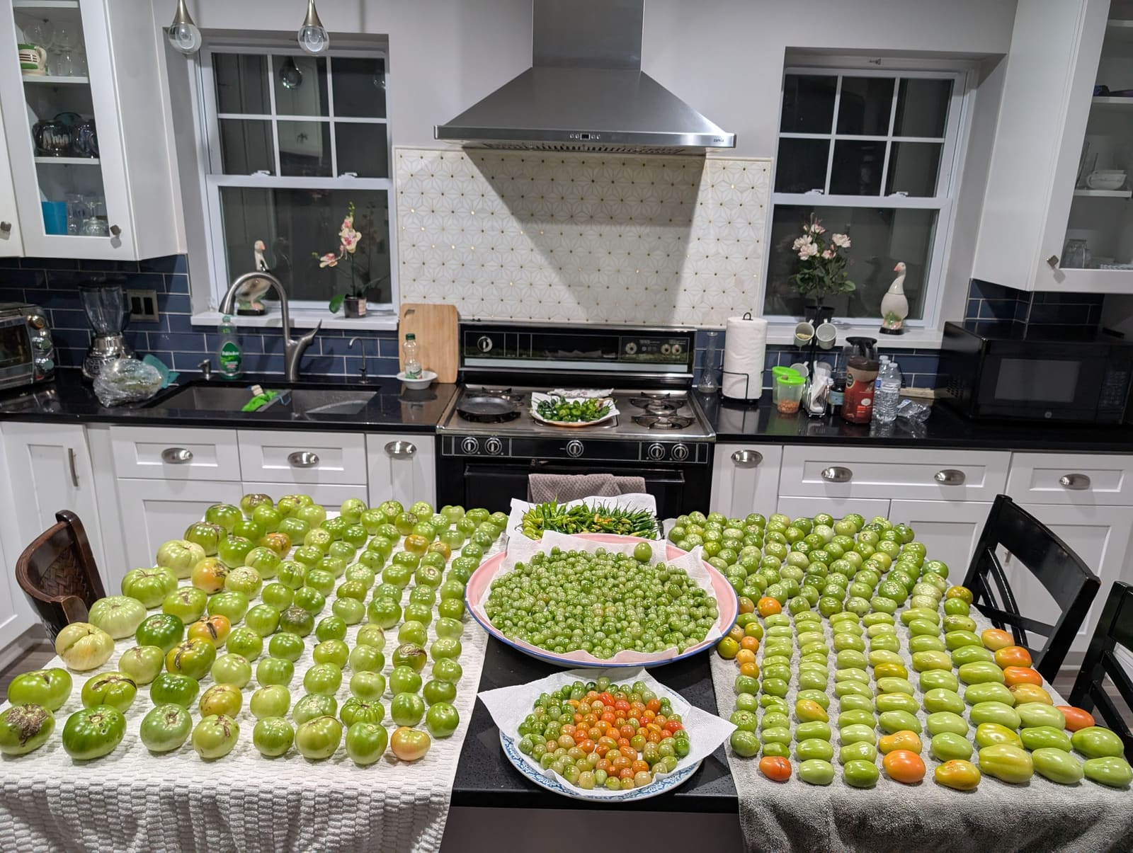The week's harvest arranged on the table. November 2024.
