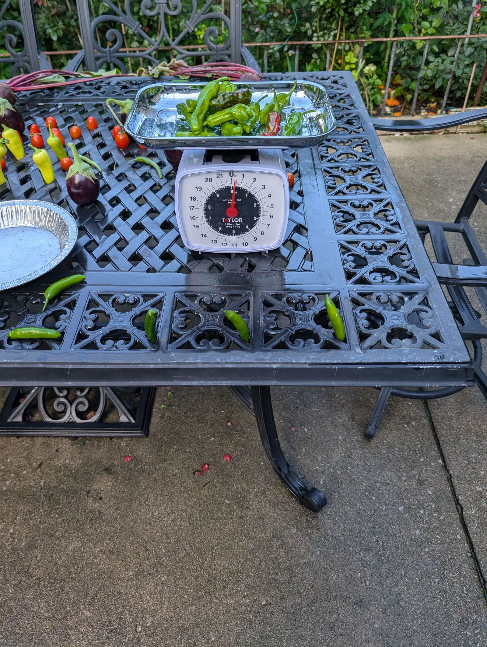 The week's harvest arranged on the table, with the scale in frame. August 2024.