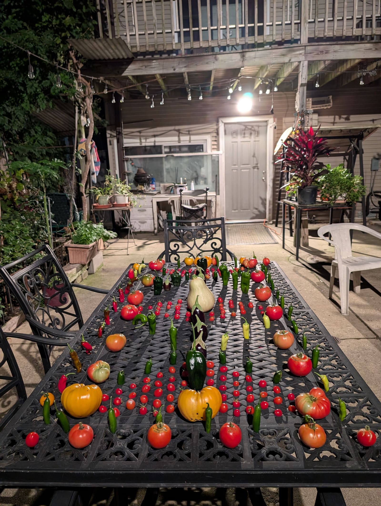 The week's harvest arranged on the table. October 2024.