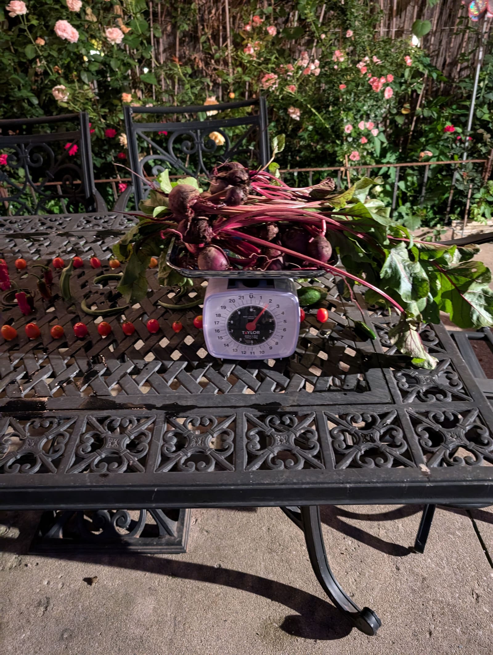 The week's harvest arranged on the table, with the scale in frame. August 2024.