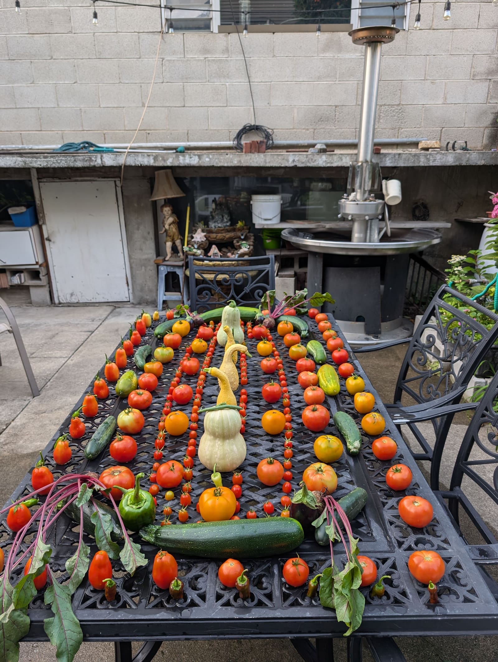 The week's harvest arranged on the table. August 2024.