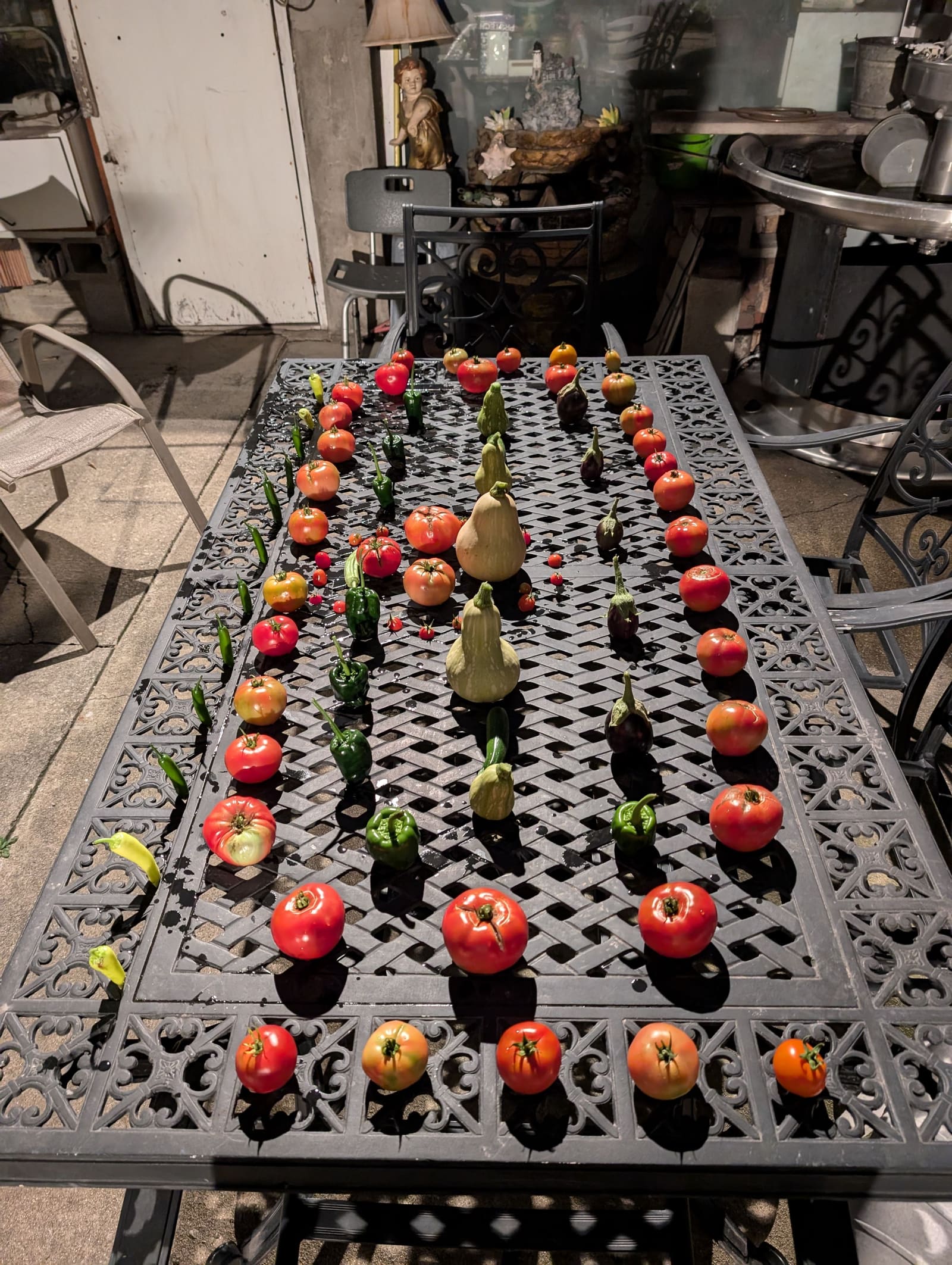 The week's harvest arranged on the table. October 2024.