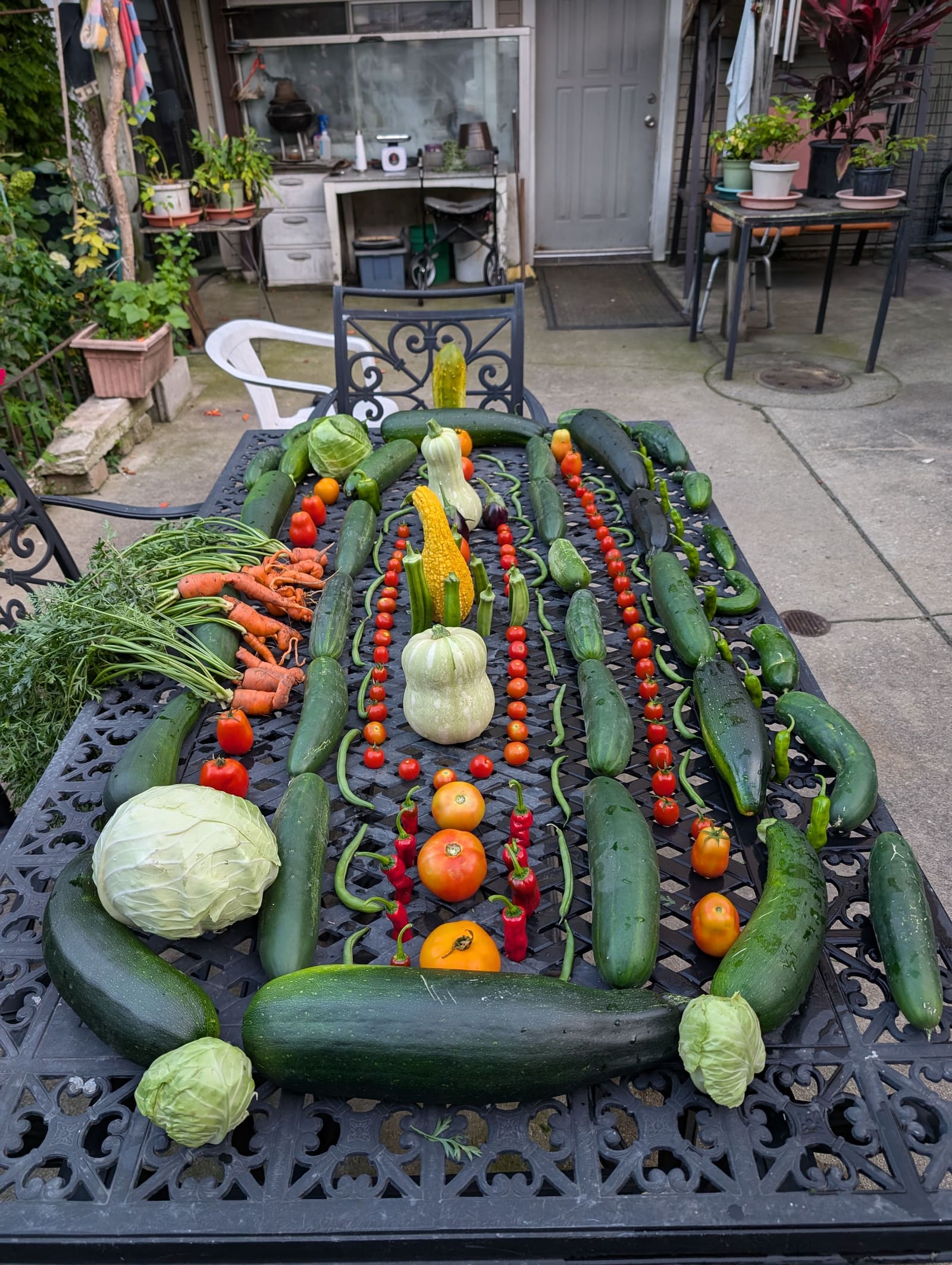 The week's harvest arranged on the table. August 2024.