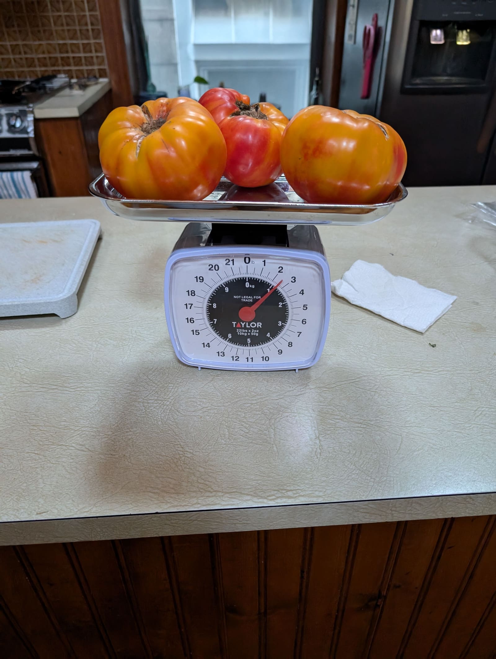 The week's harvest on the scale. September 2024.
