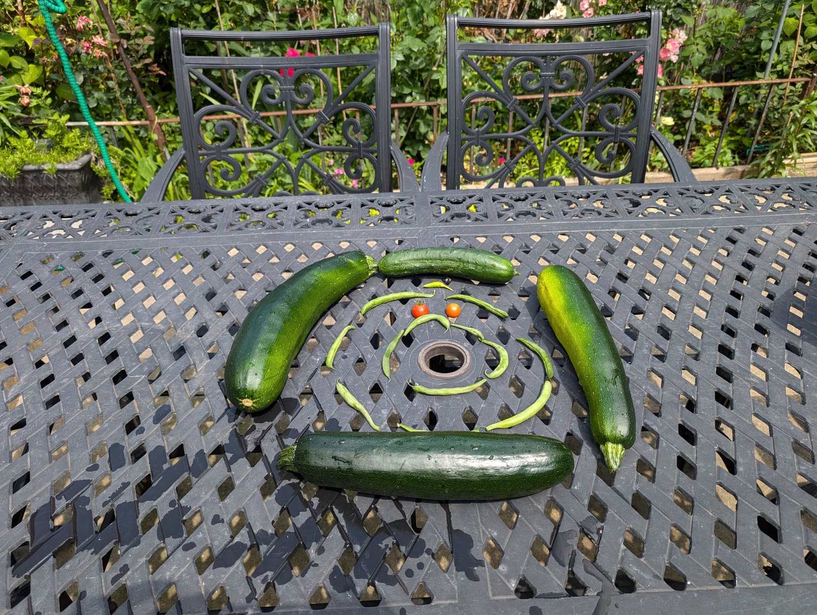 The week's harvest arranged on the table. June 2024.