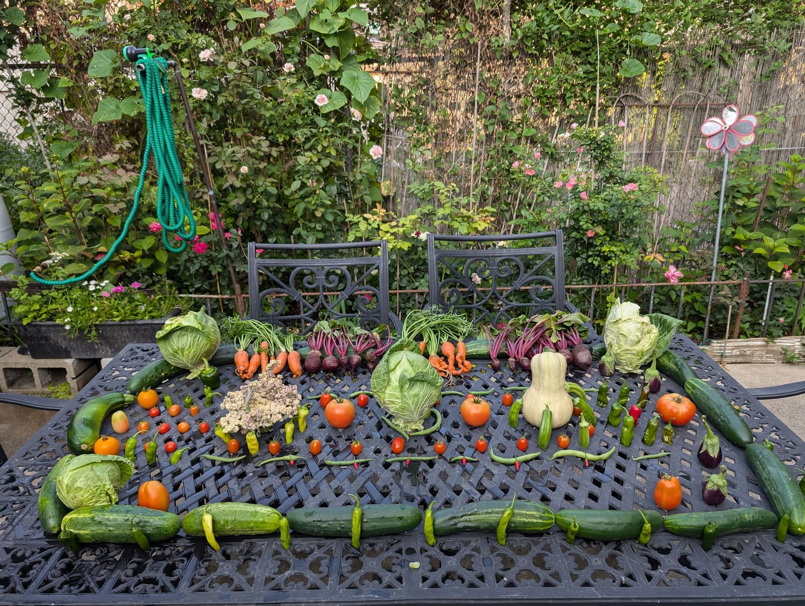 The week's harvest arranged on the table. July 2024.