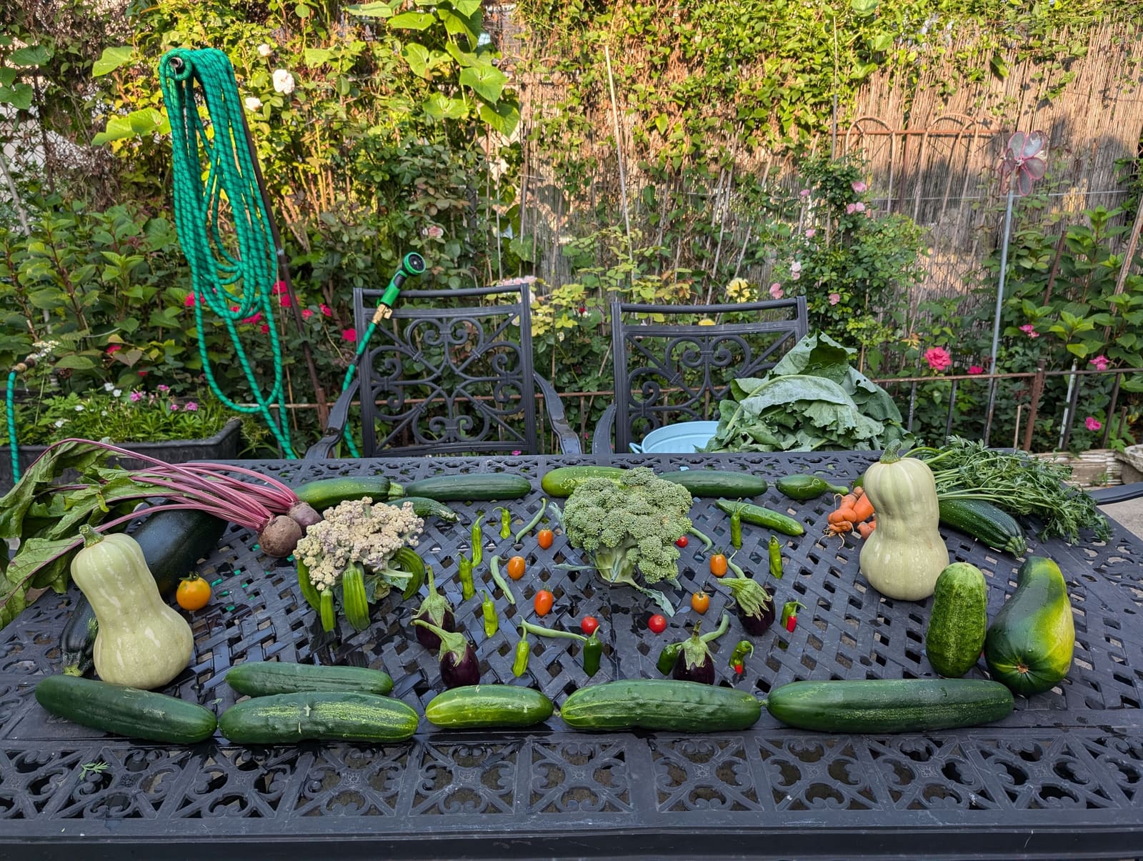 The week's harvest arranged on the table. July 2024.