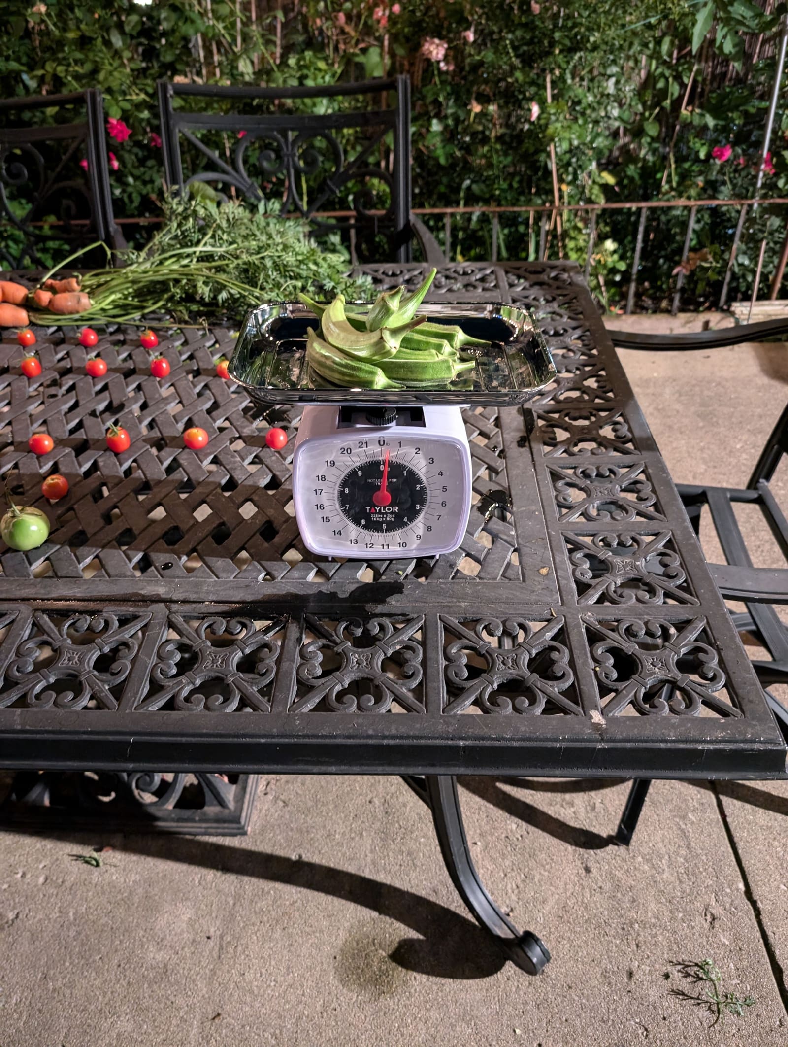 The week's harvest arranged on the table, with the scale in frame. August 2024.