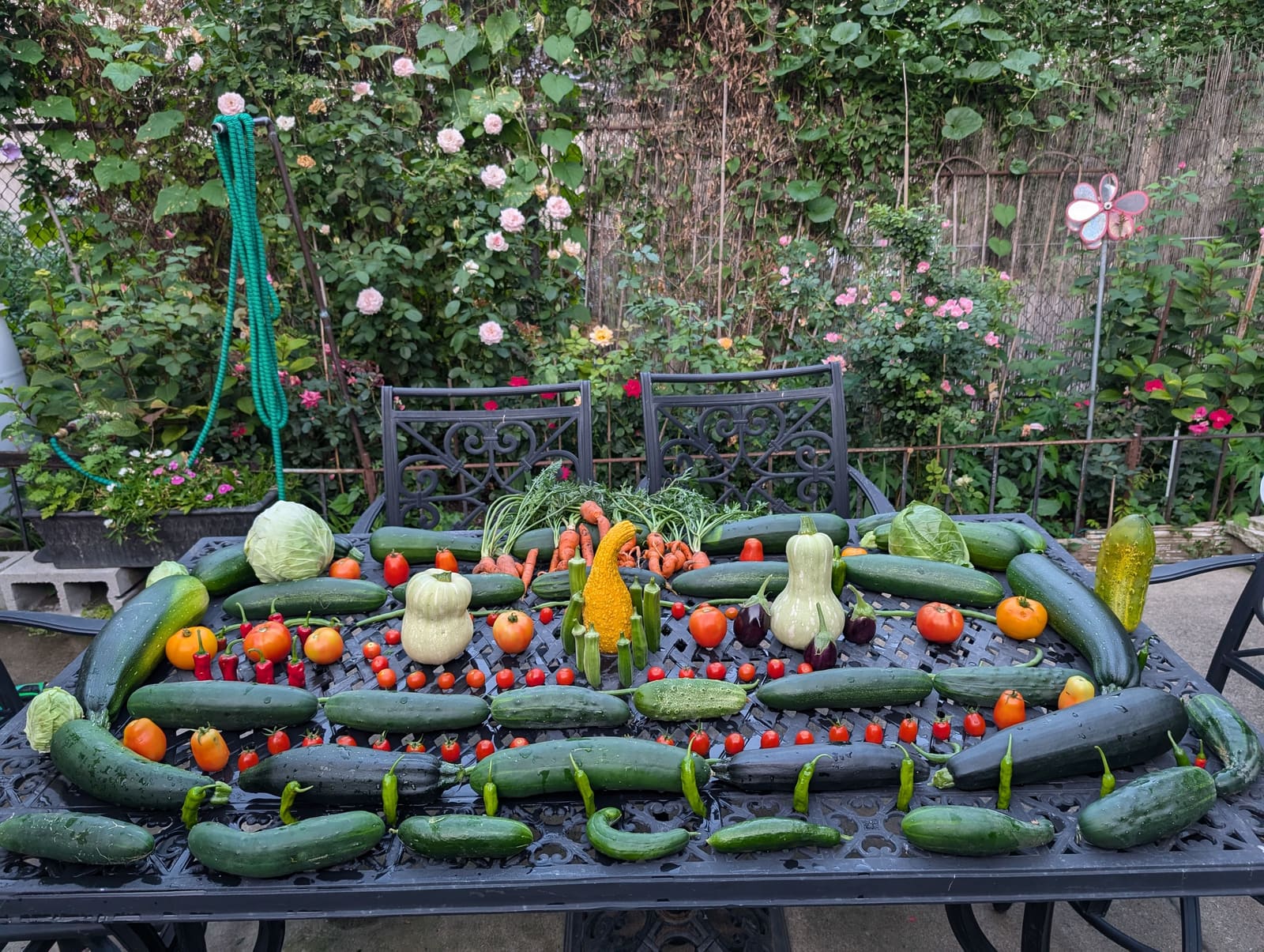 The week's harvest arranged on the table. August 2024.