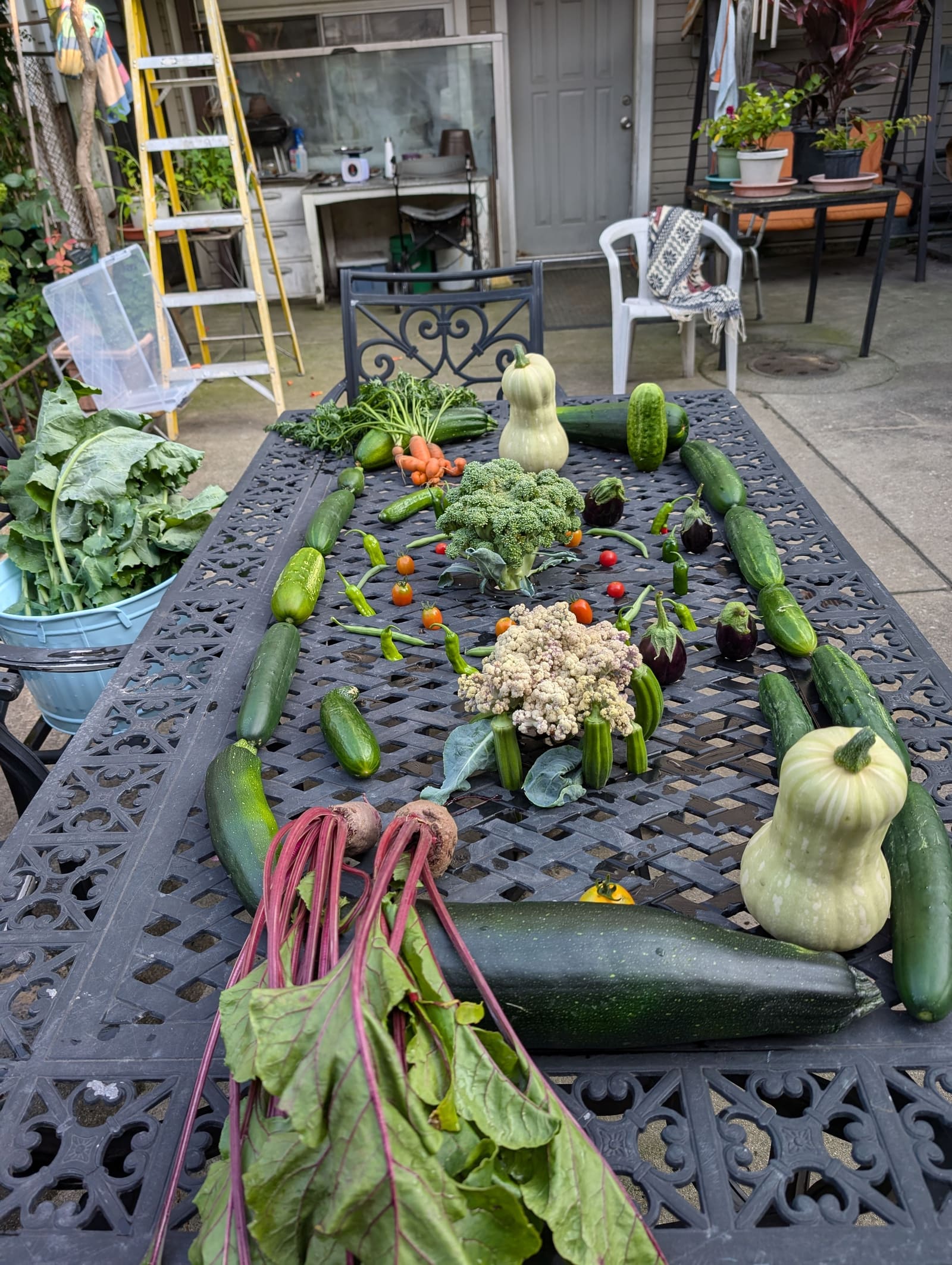 The week's harvest arranged on the table. July 2024.