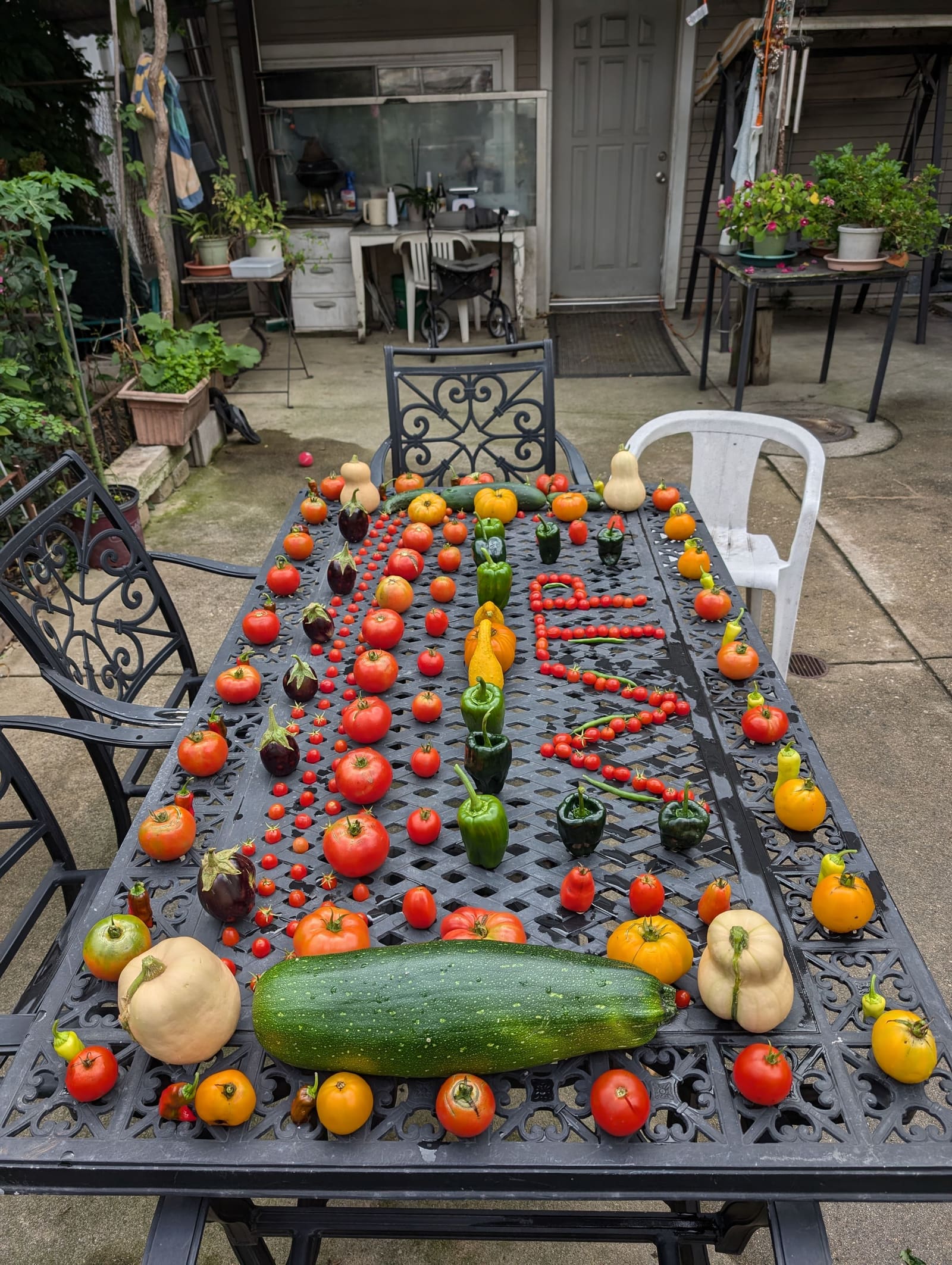 The week's harvest arranged on the table. September 2024.